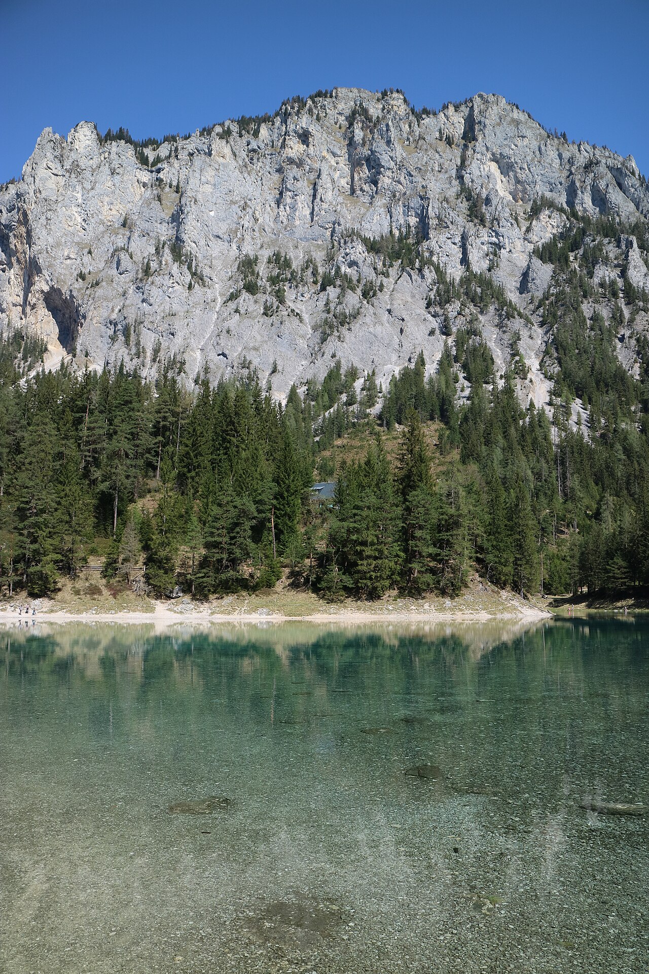 Grüner See