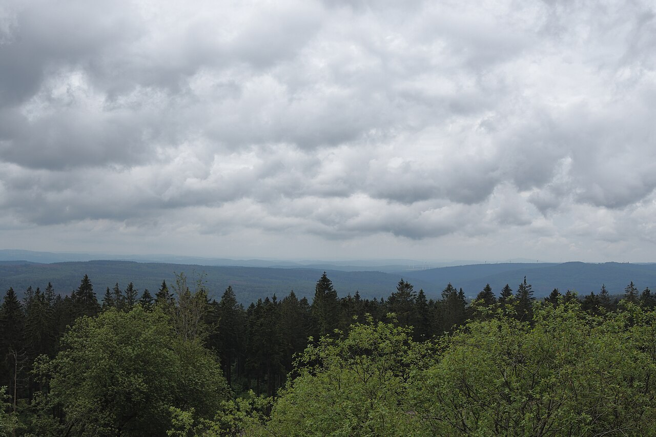 Erbeskopf