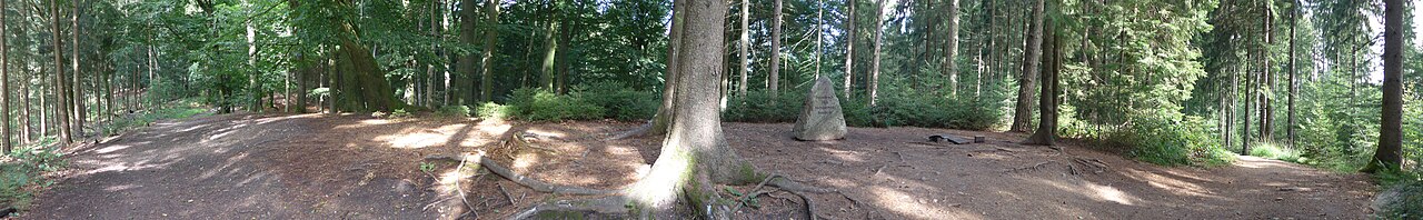 Hasselbrack