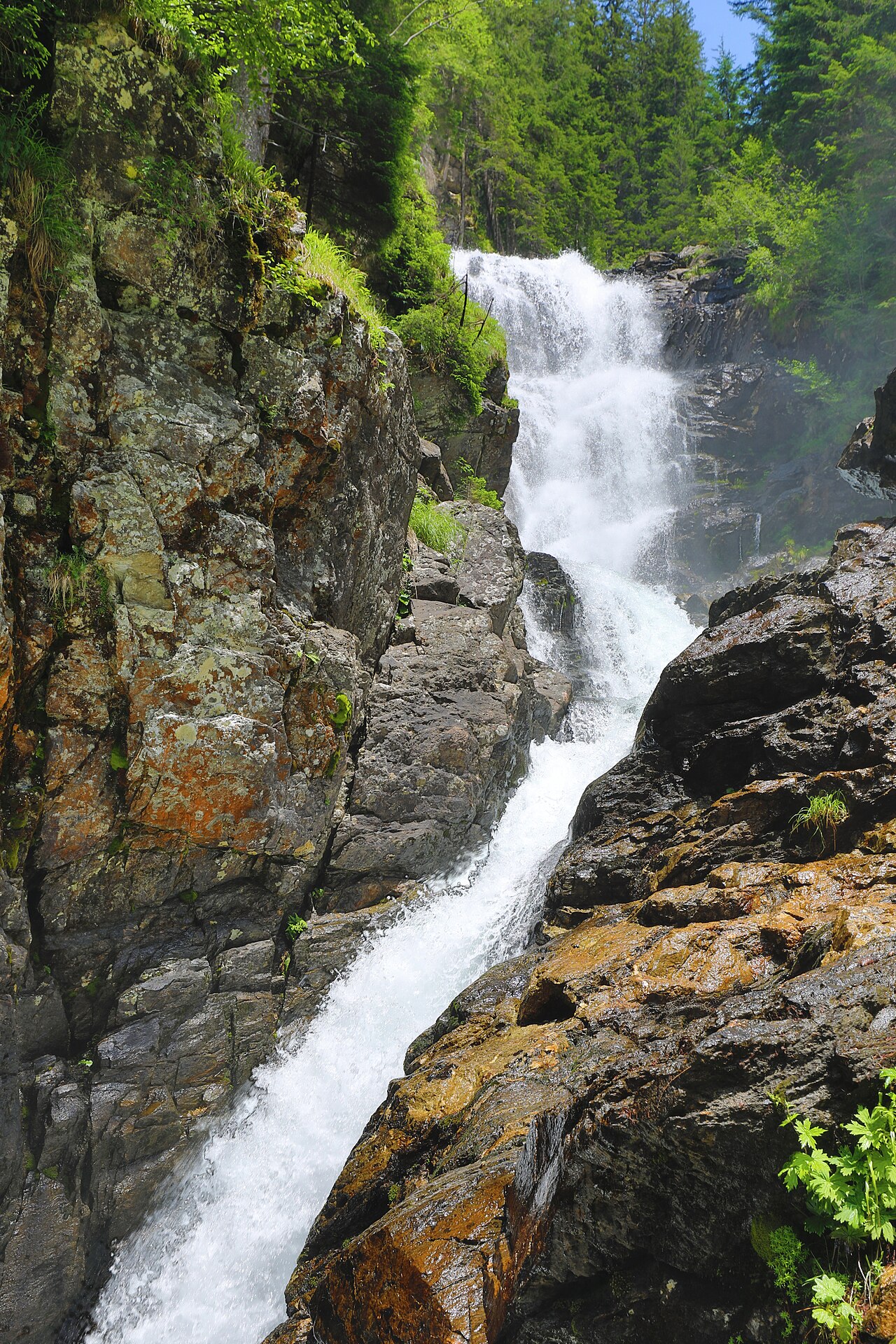Riesachfälle