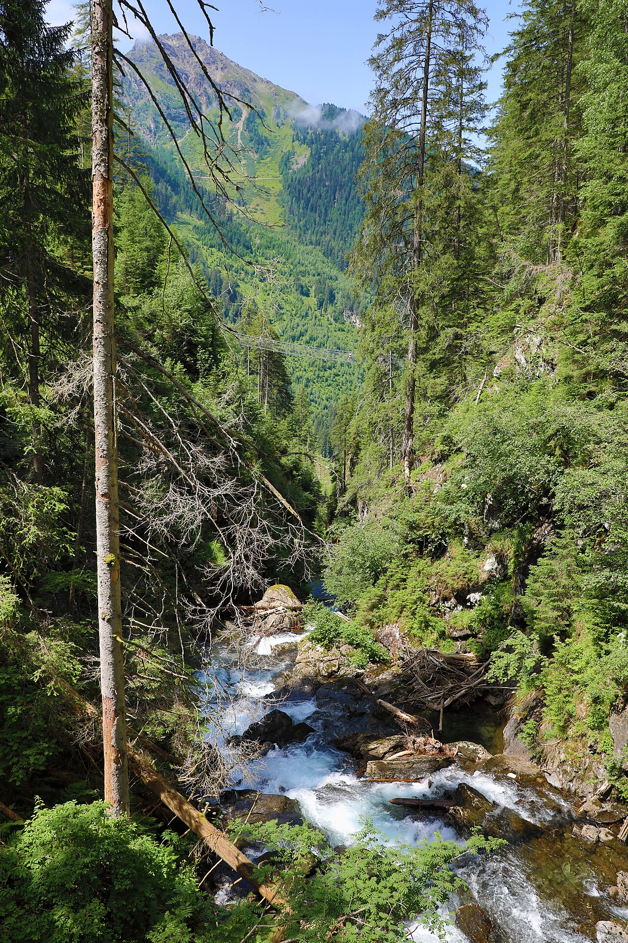 Riesachfälle