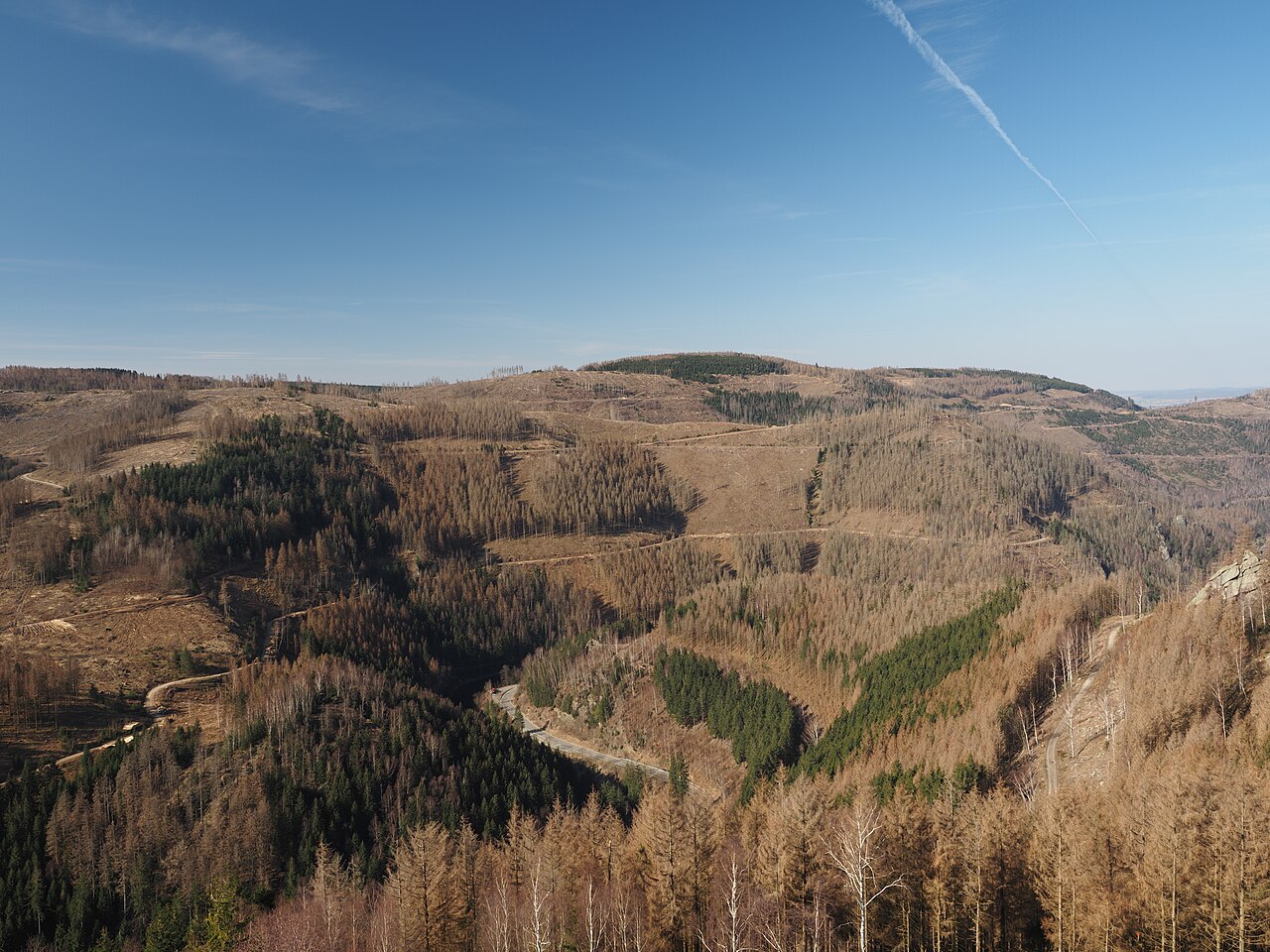 Feigenbaumklippe