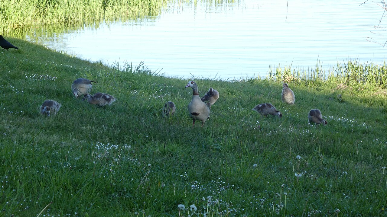 Stausee Losheim