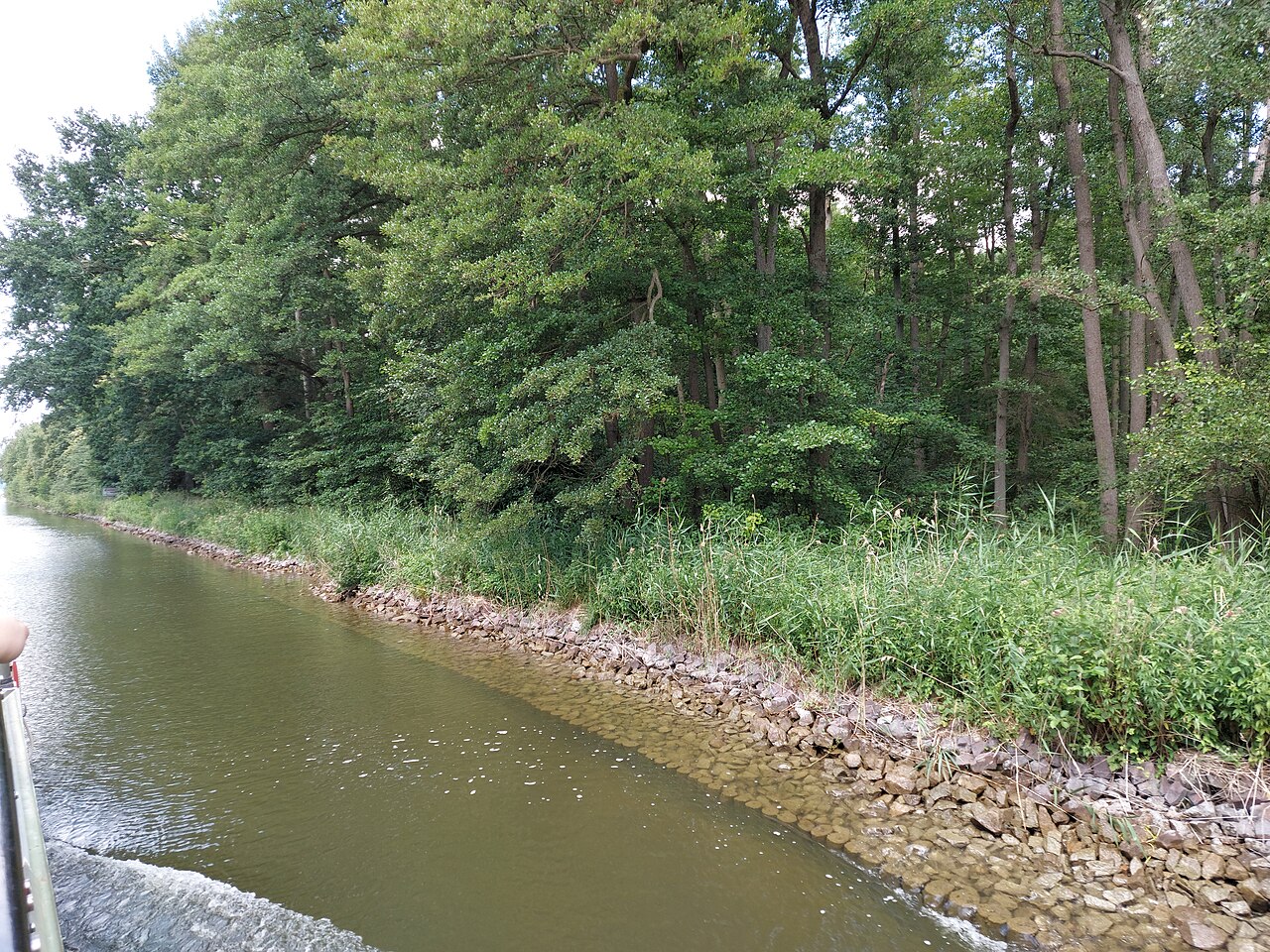 Fleesensee