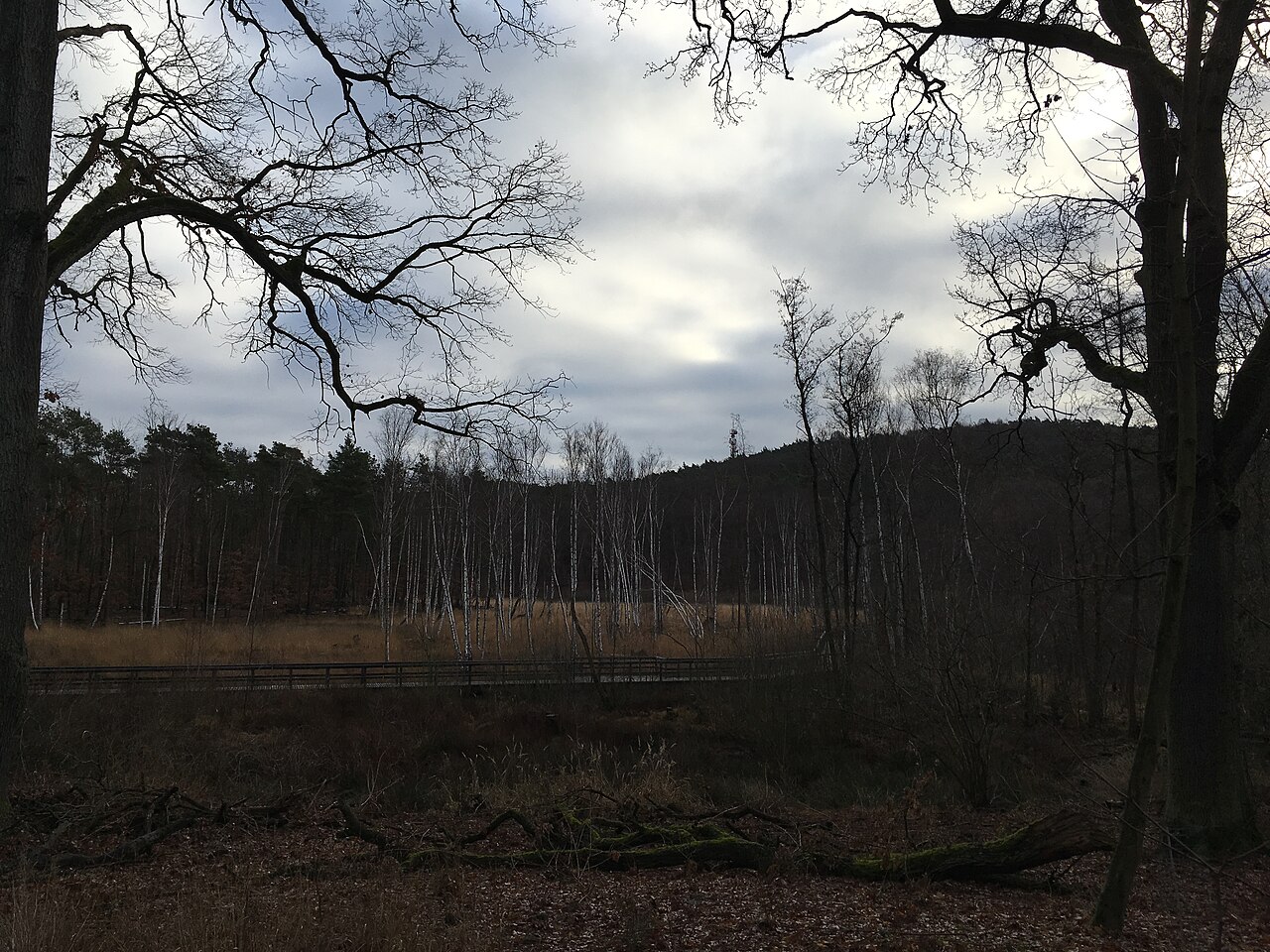 Teufelsseemoor Köpenick