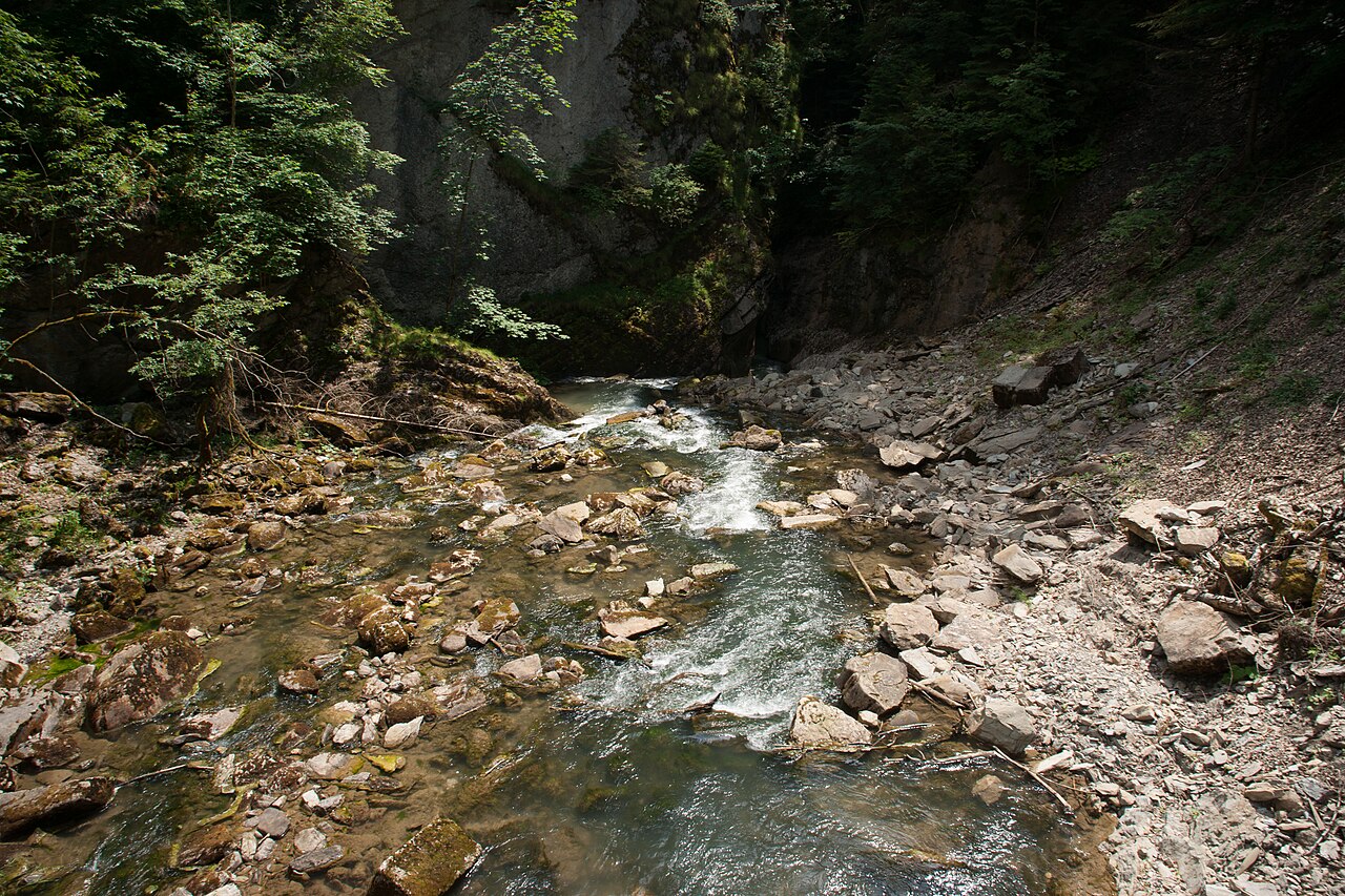 Gorges de la Jogne