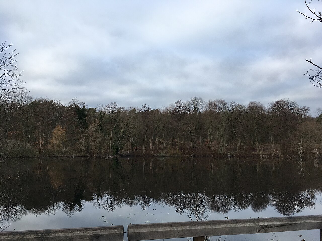 Teufelsseemoor Köpenick