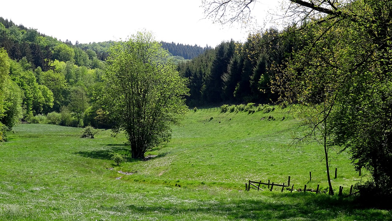 Naturpark Sauerland-Rothaargebirge