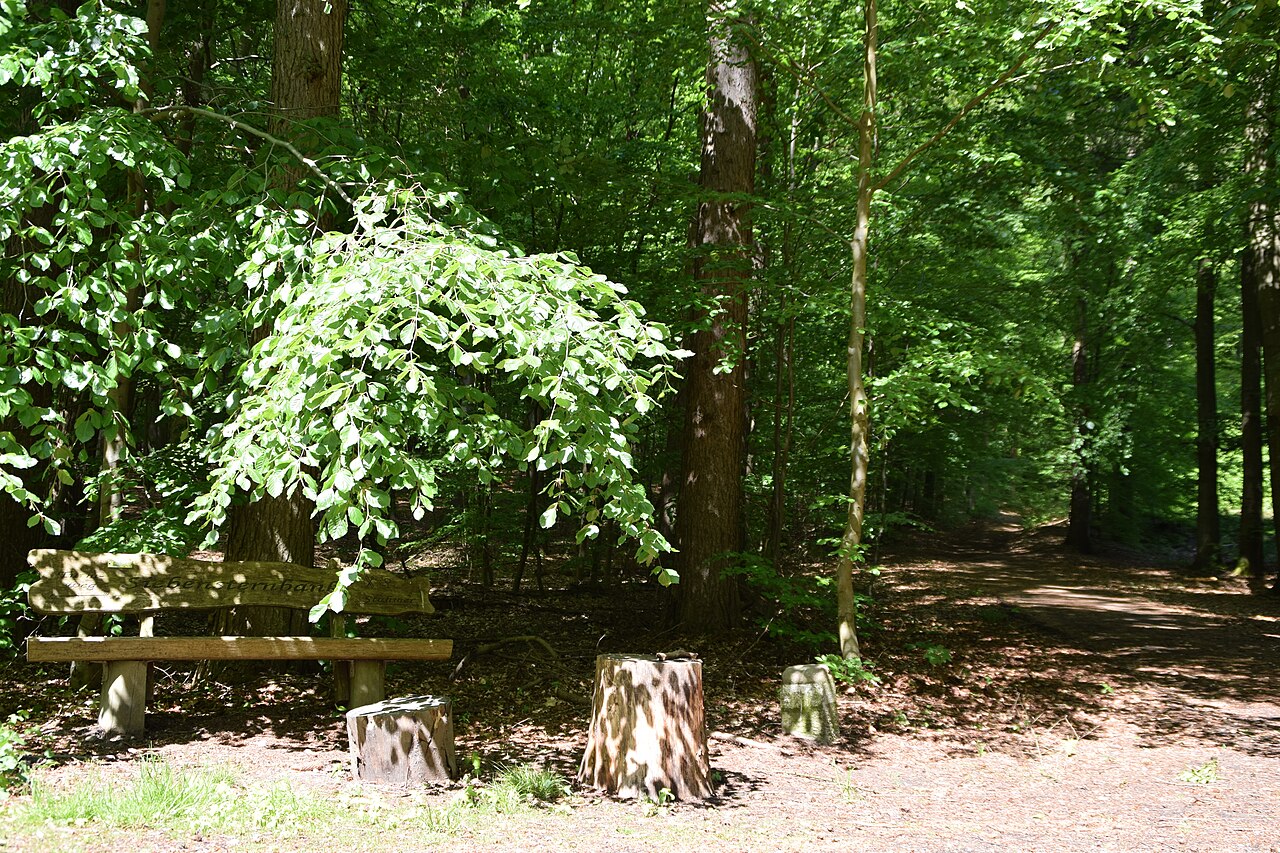 Hahnheide