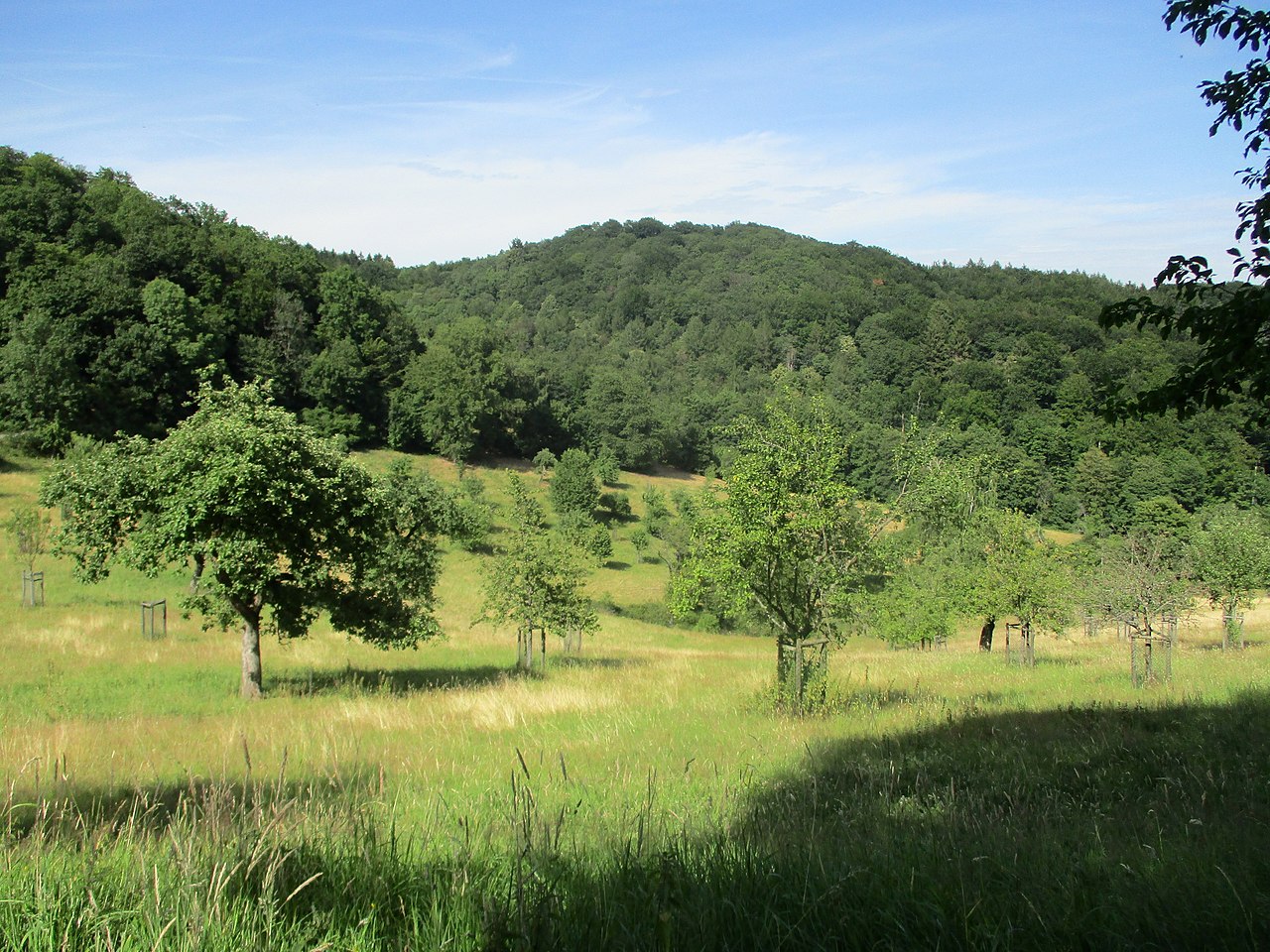 Siebengebirge