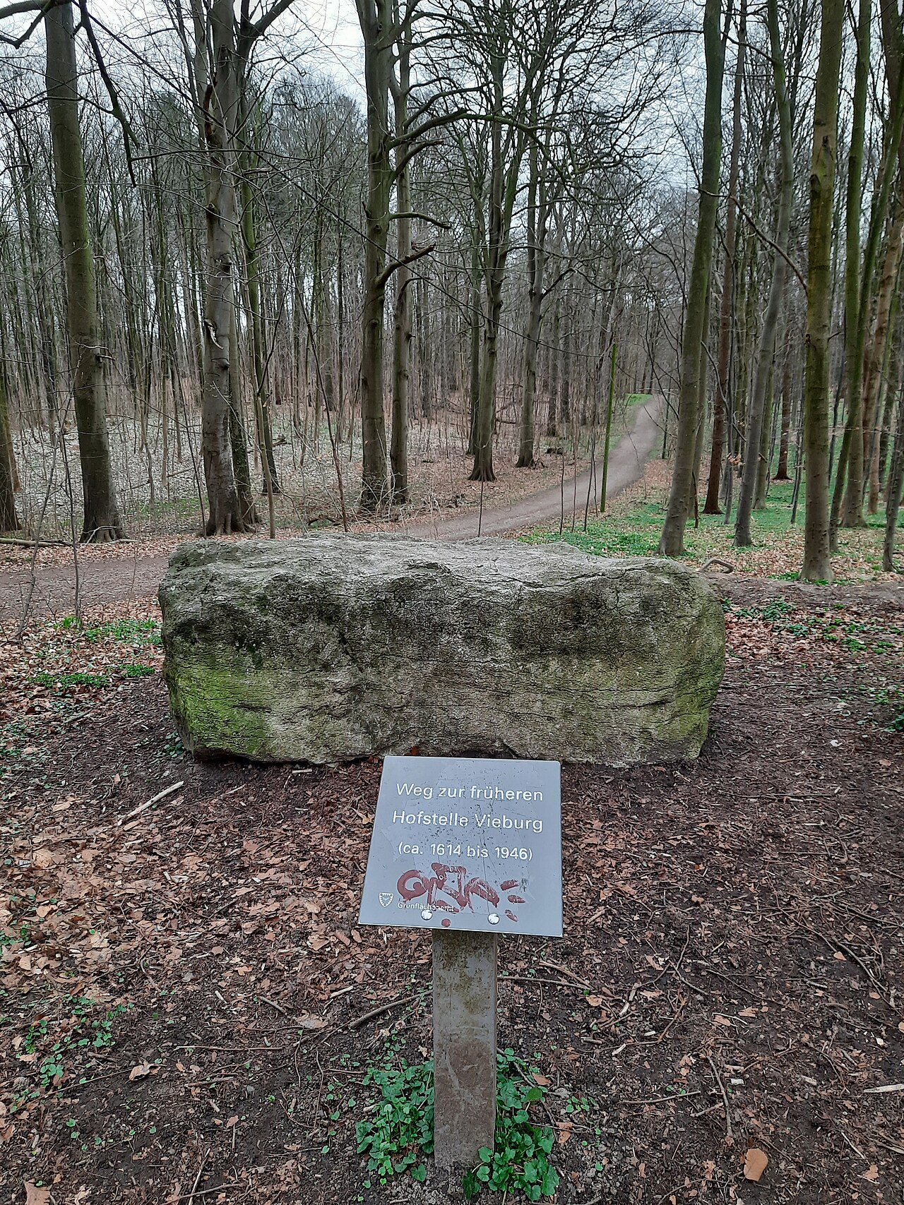 Vieburger Gehölz