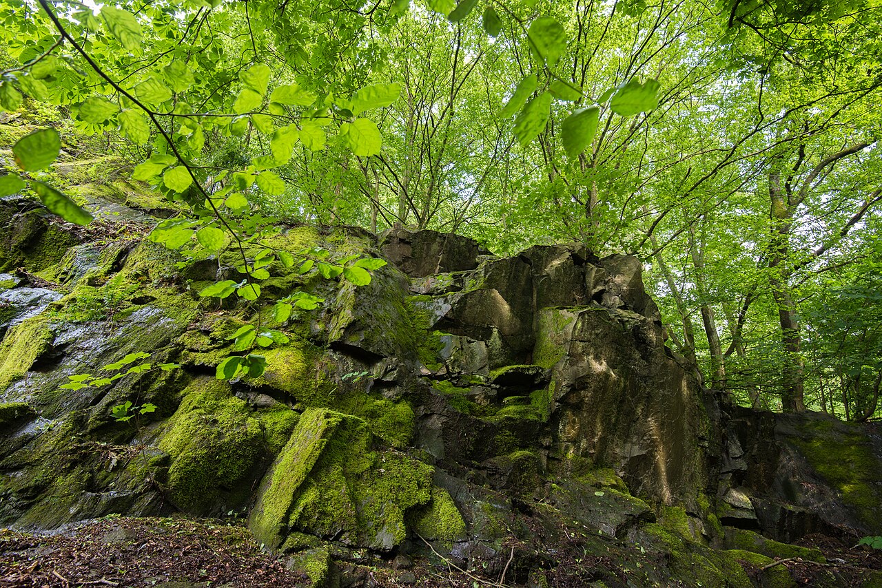 Neroberg