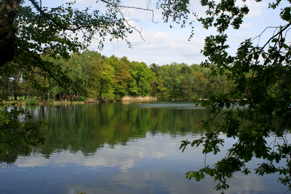 Naturpark Dübener Heide
