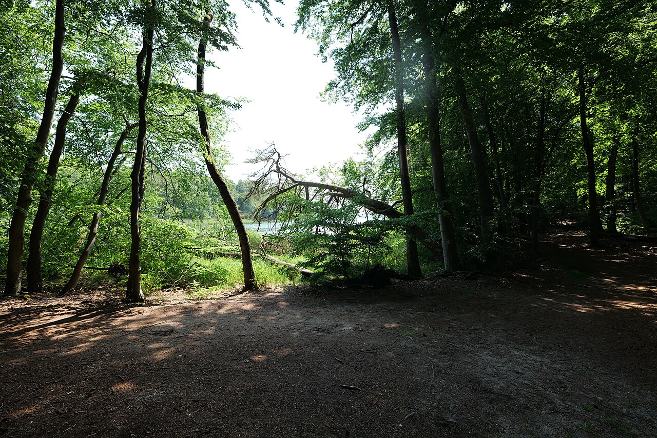 Großer Stechlinsee