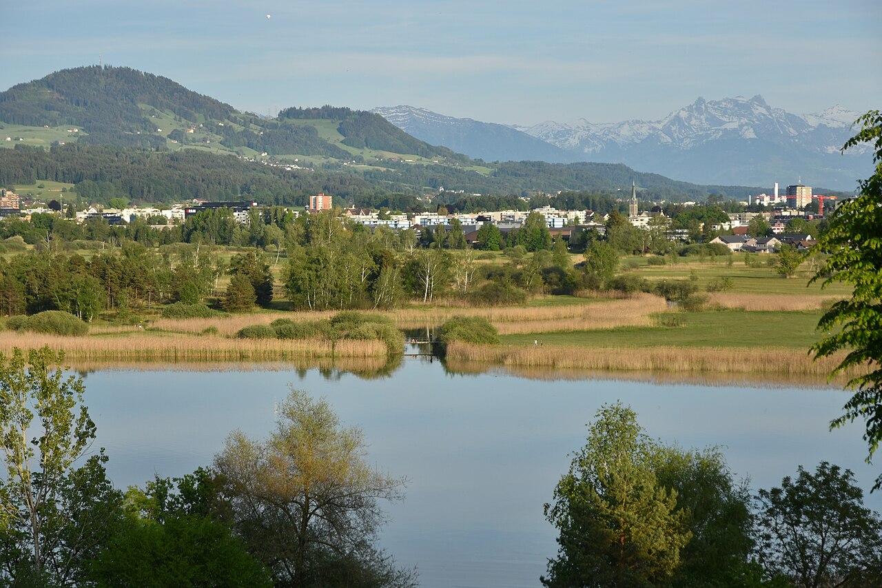 Pfäffikersee