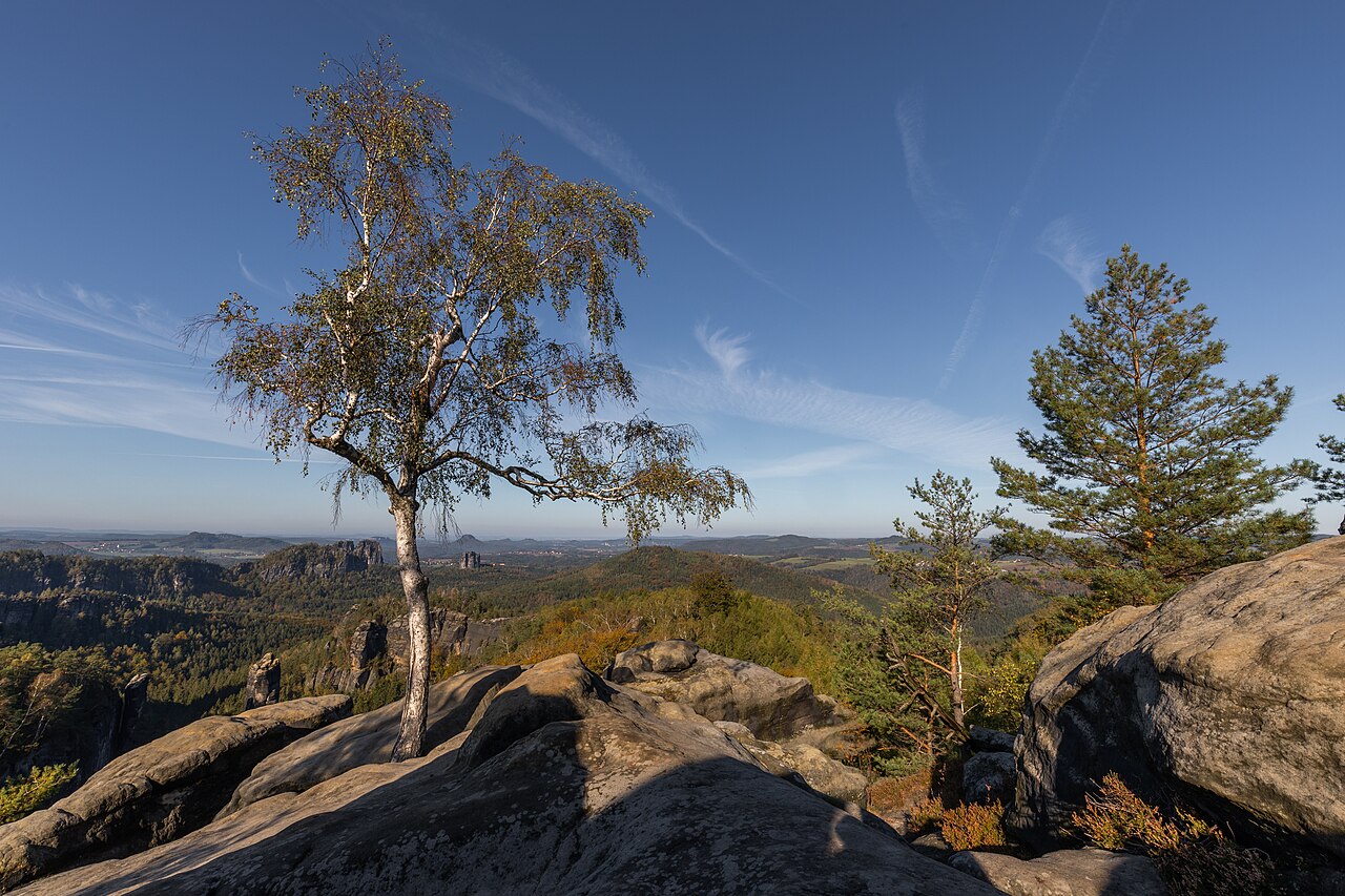 Carolafelsen