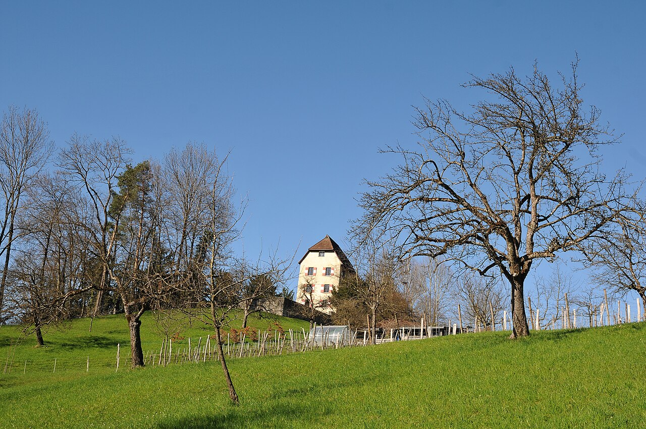 Schloss Amberg