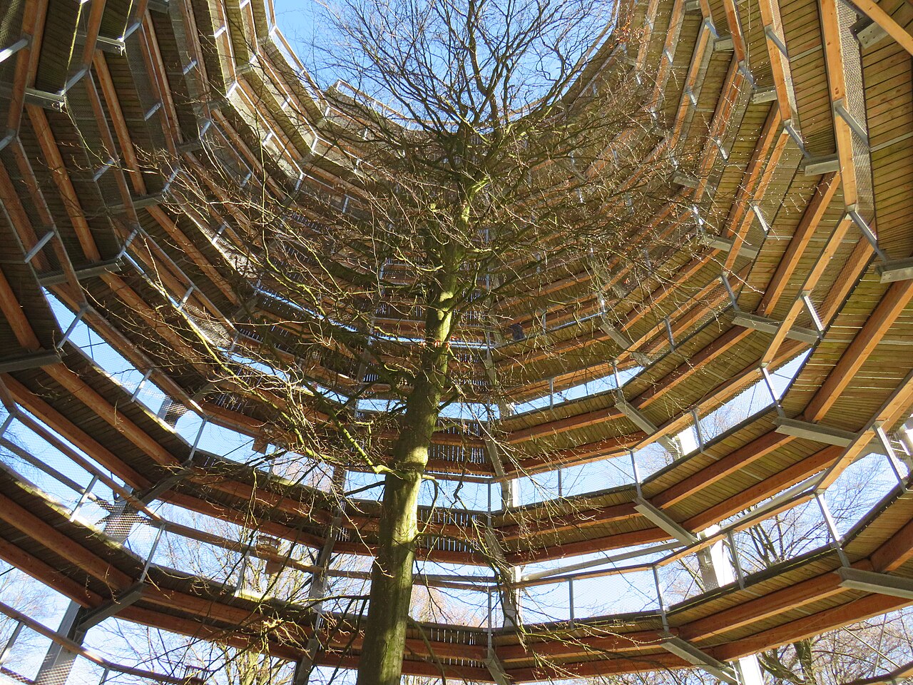 Baumwipfelpfad im Naturerbe Zentrum Rügen