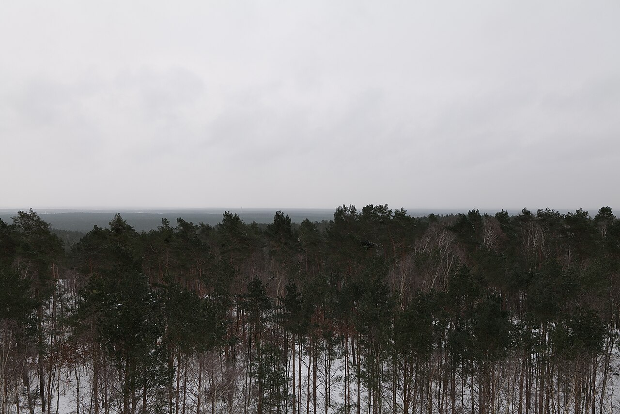 Aussichtsturm Wietkiekenberg