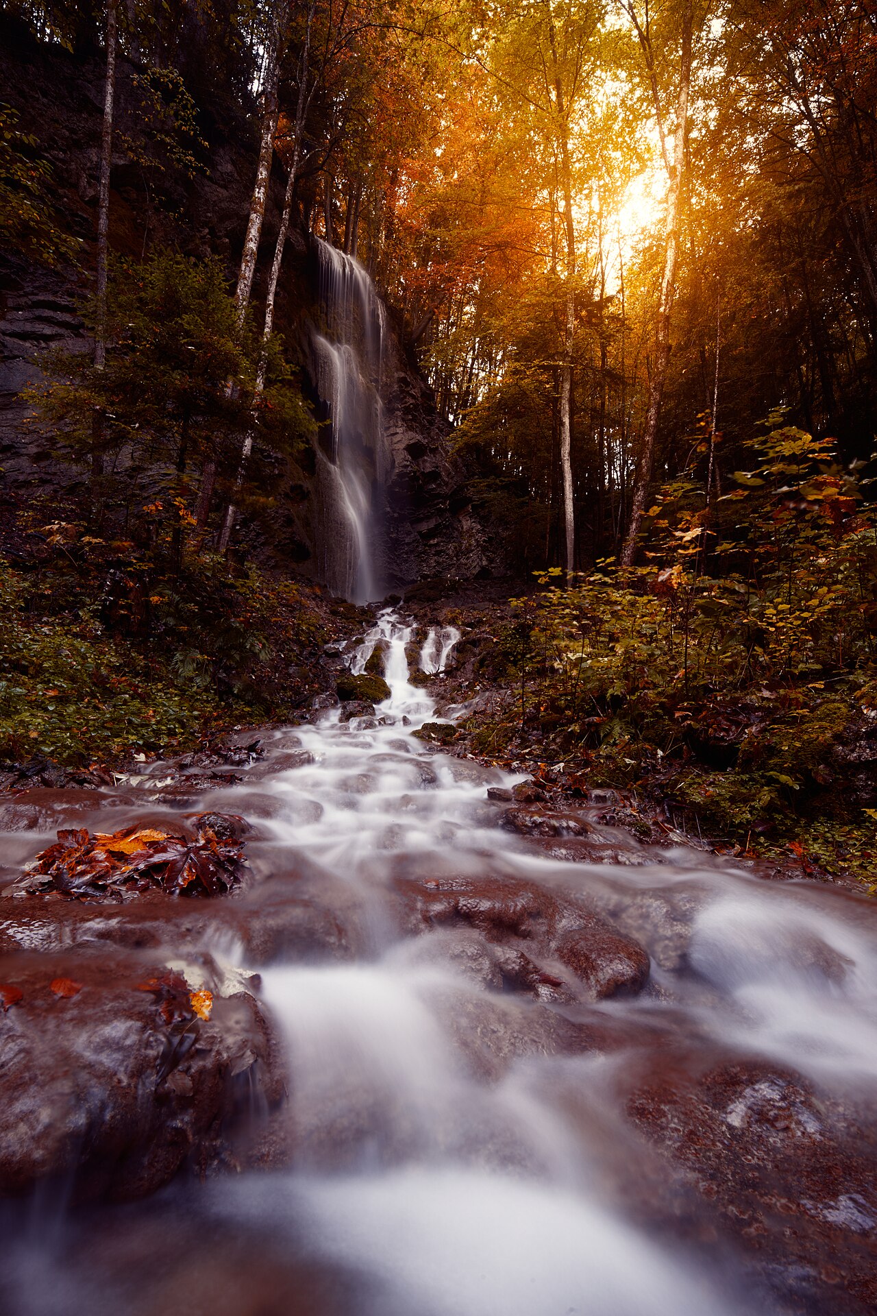 Gorges de la Jogne
