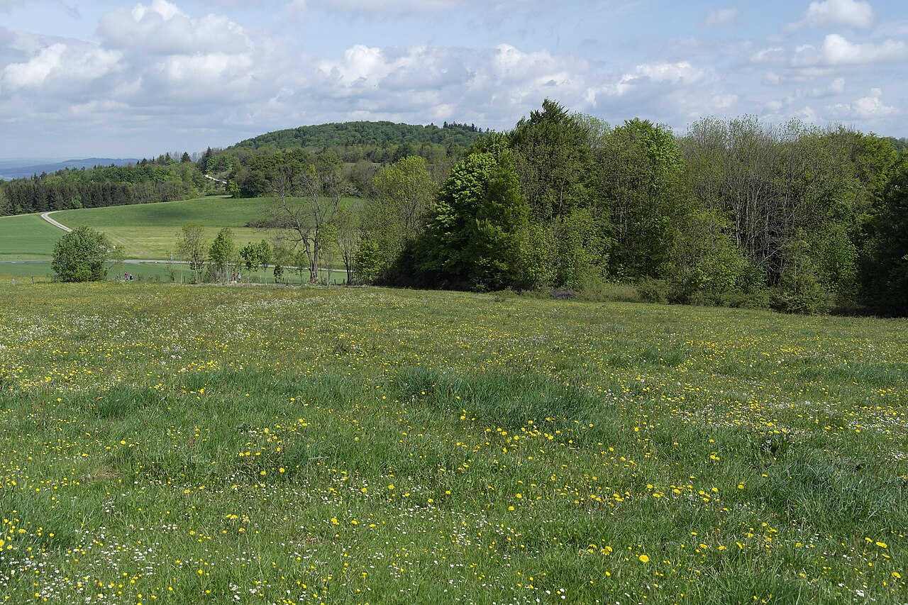 Milseburg