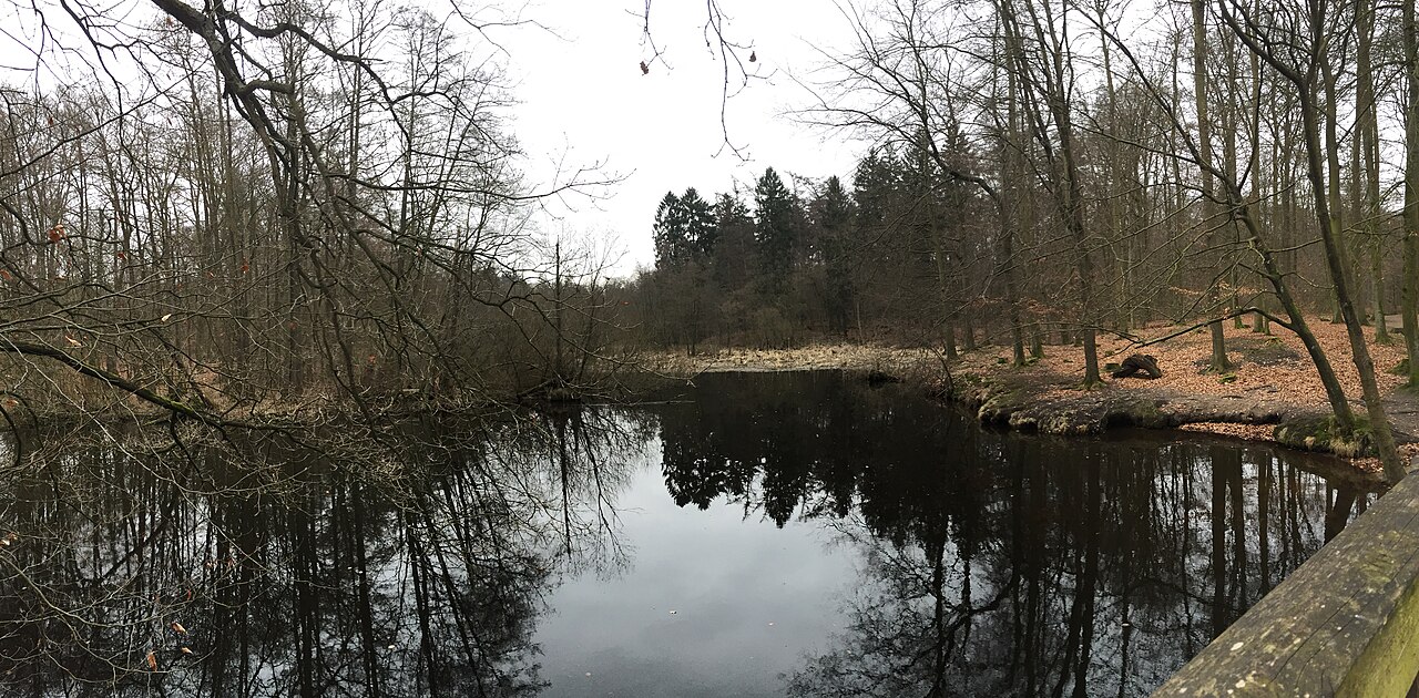 Naturschutzgebiet Wohldorfer Wald