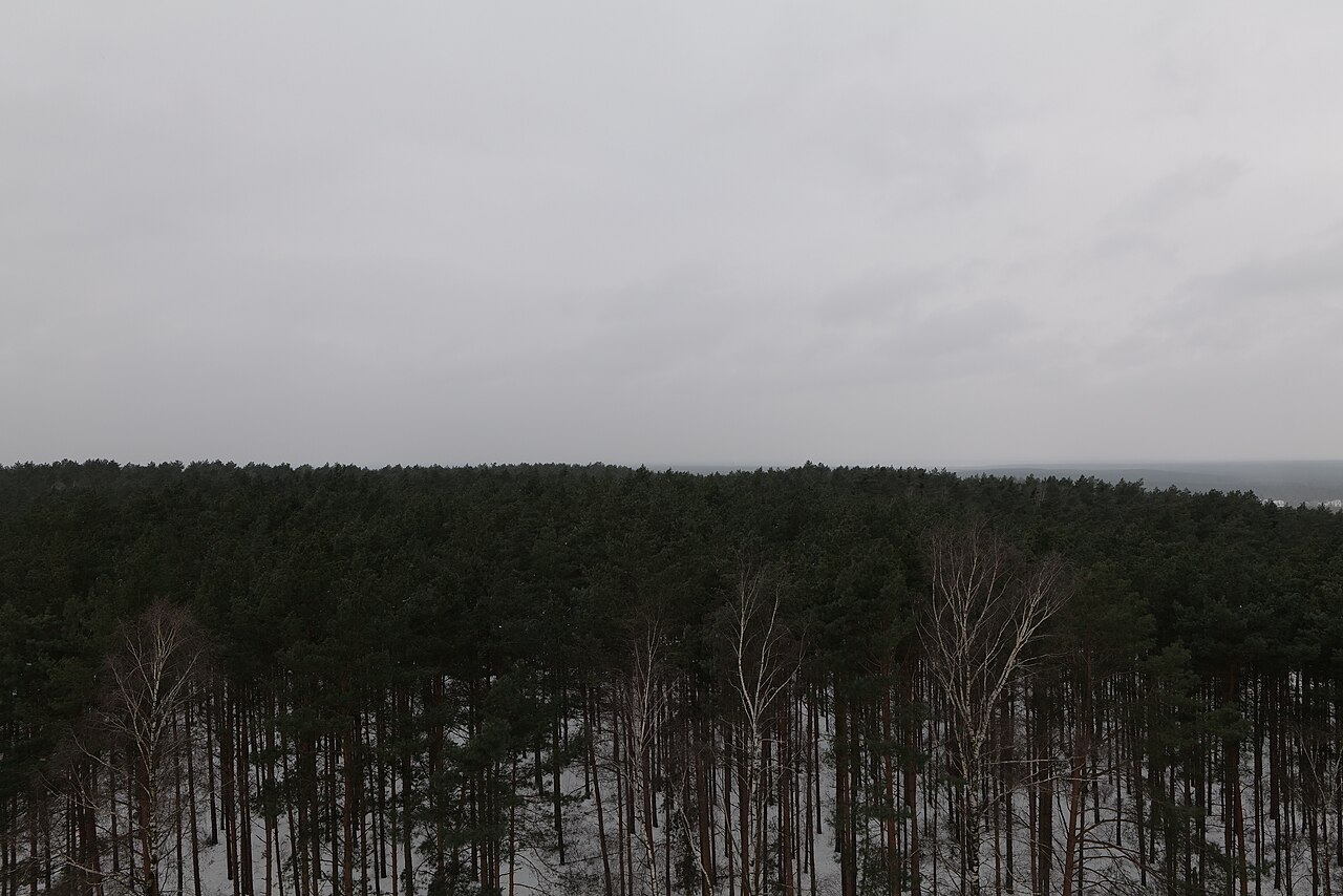 Aussichtsturm Wietkiekenberg