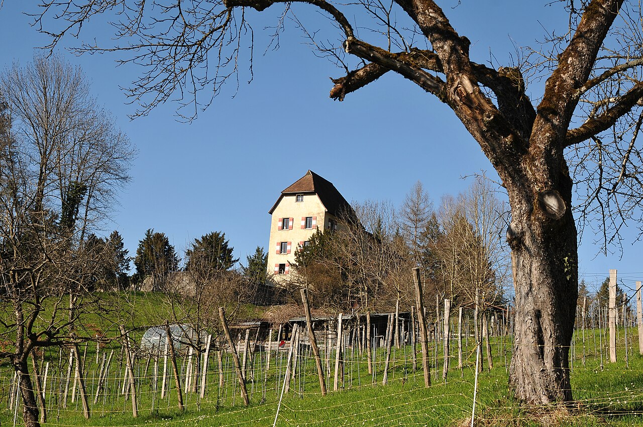 Schloss Amberg