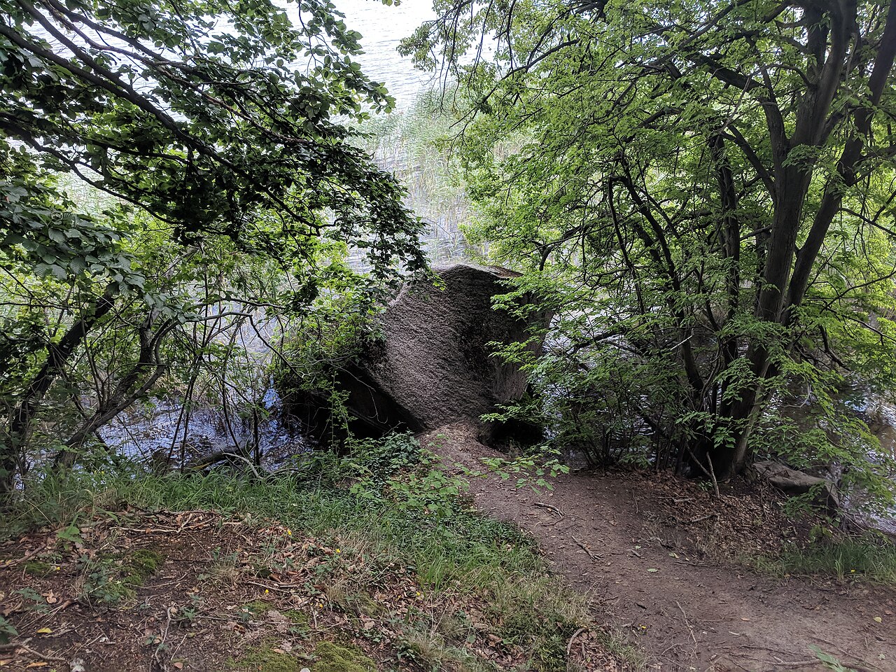 Tollensesee
