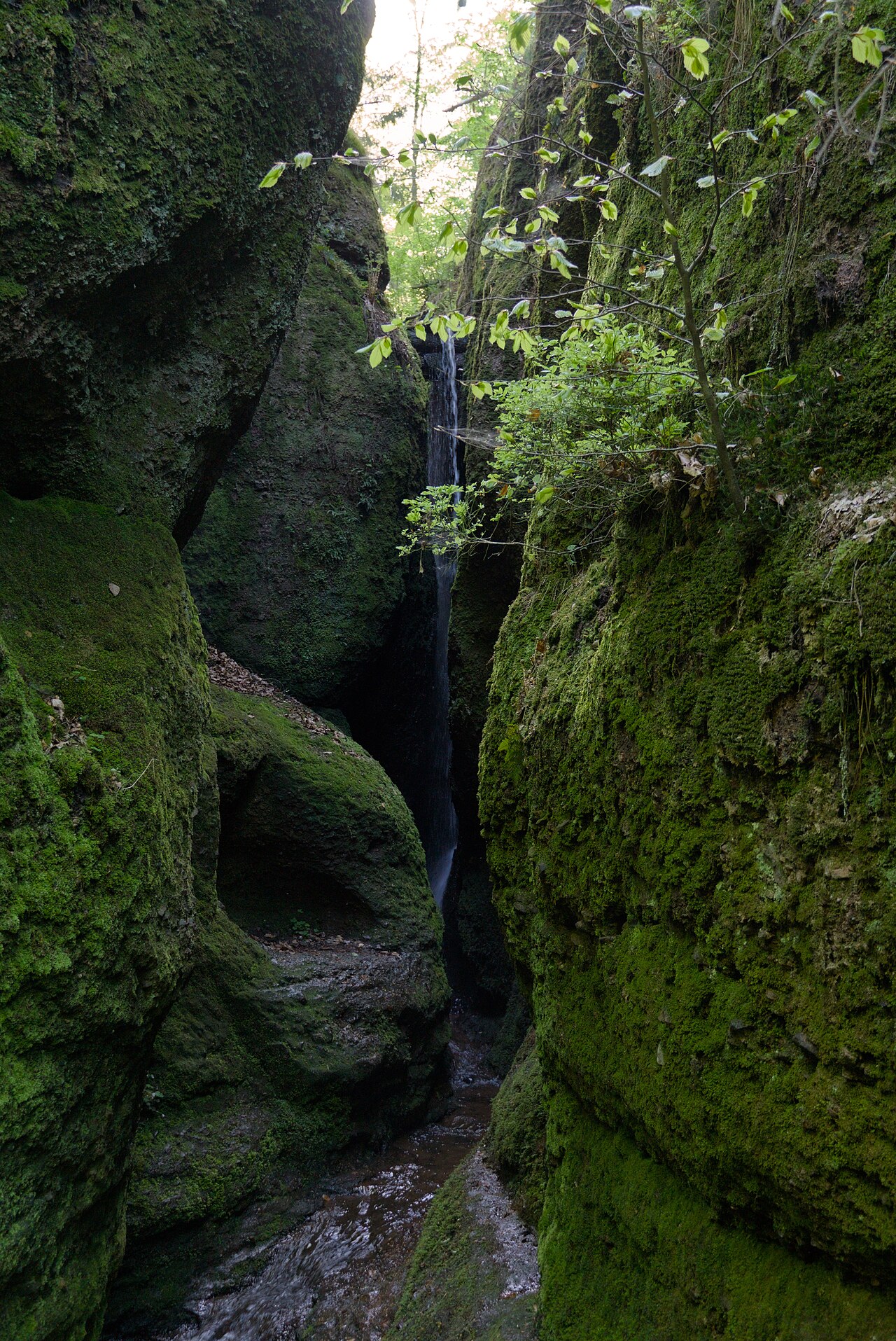 Drachenschlucht