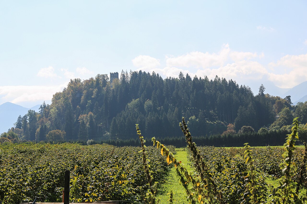 Schloss Rosegg