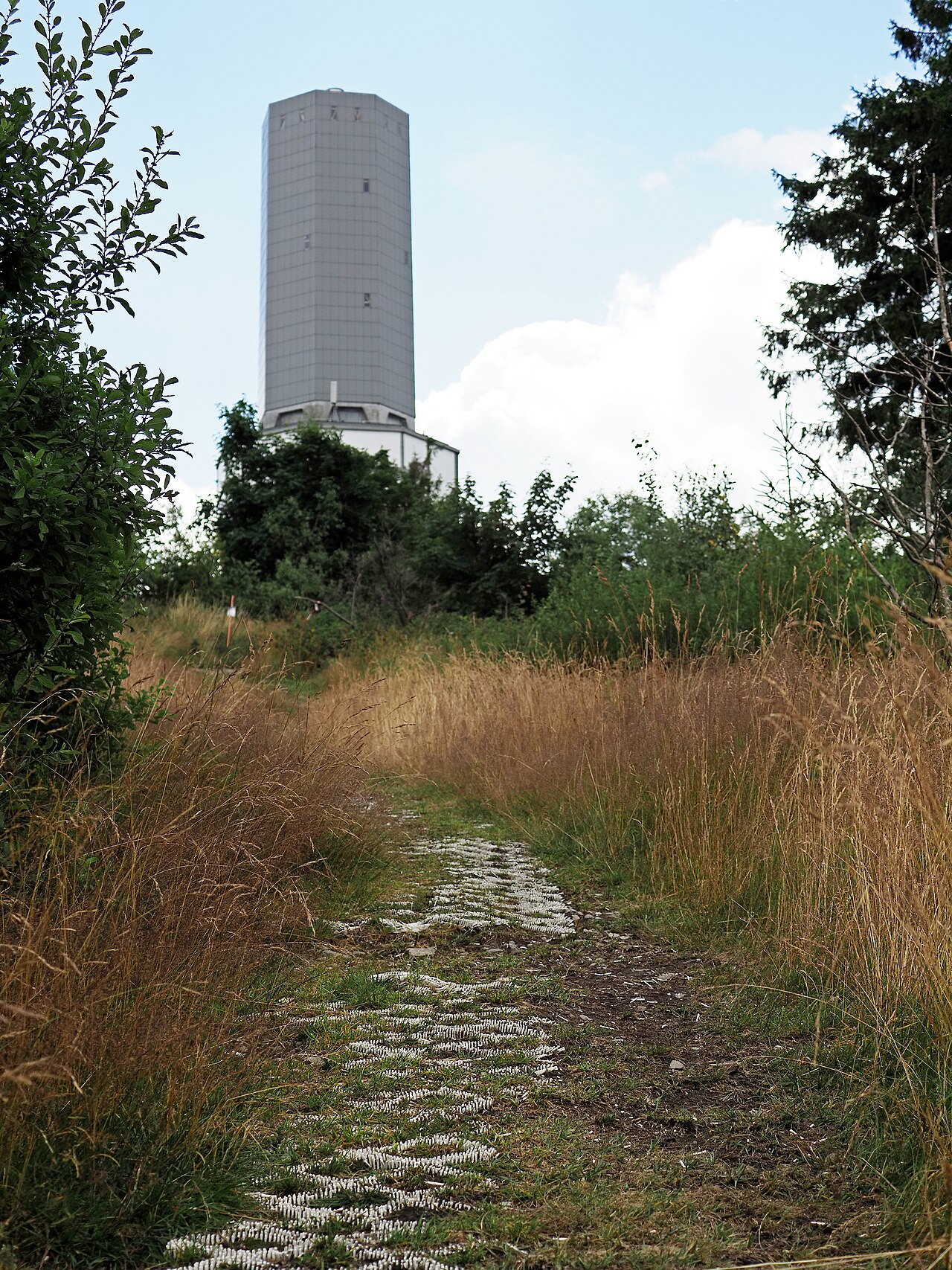 Großer Feldberg