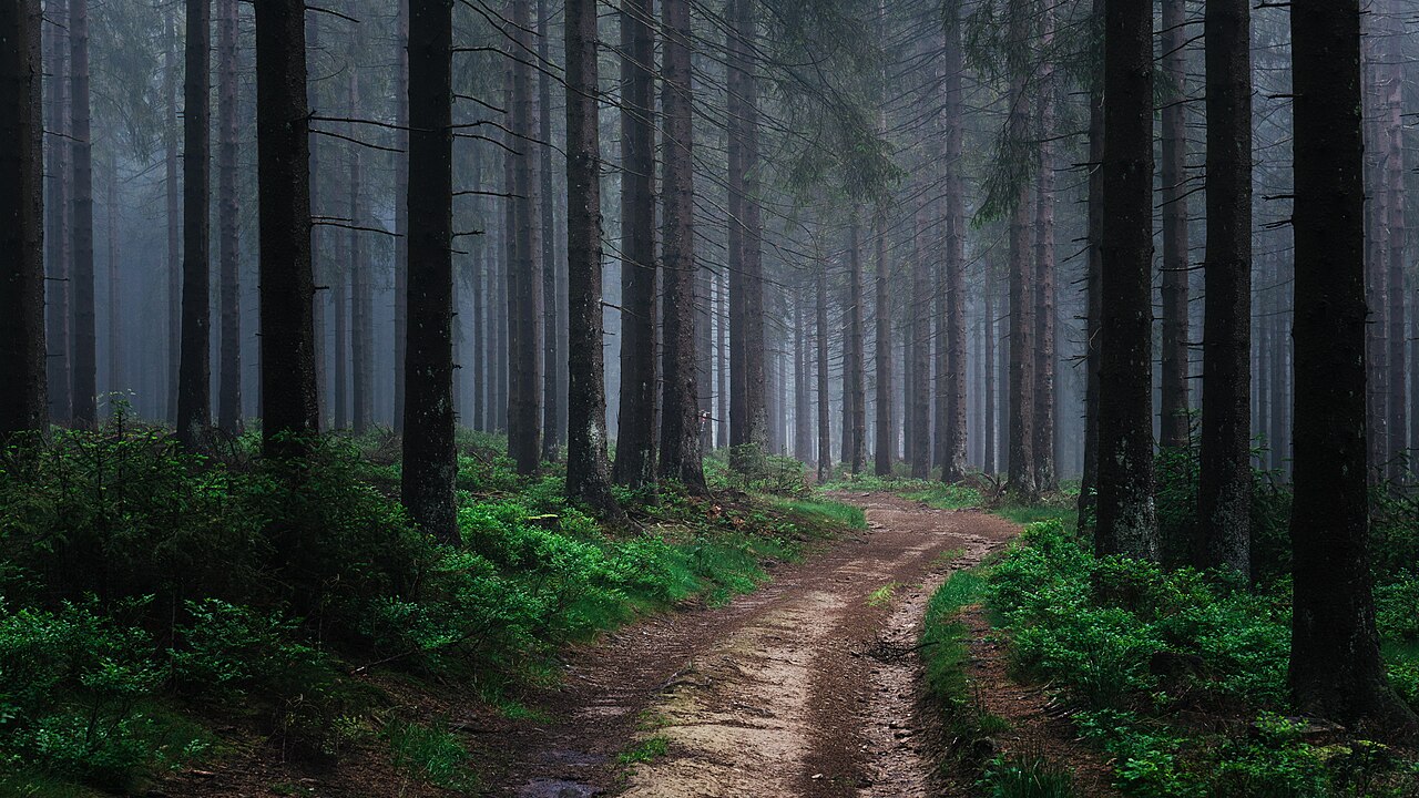 Naturpark Sauerland-Rothaargebirge