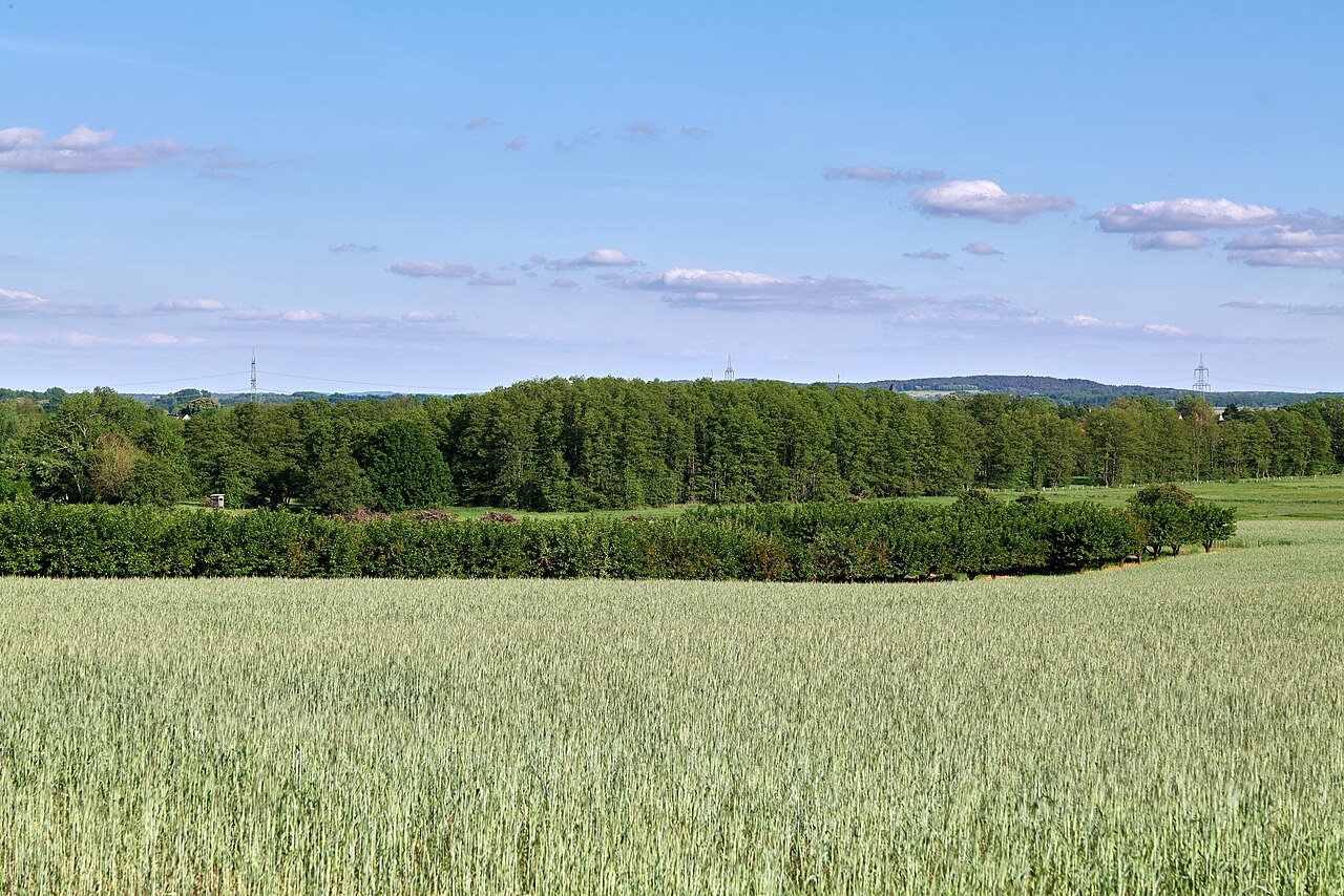 Brandenburger Osthavelniederung