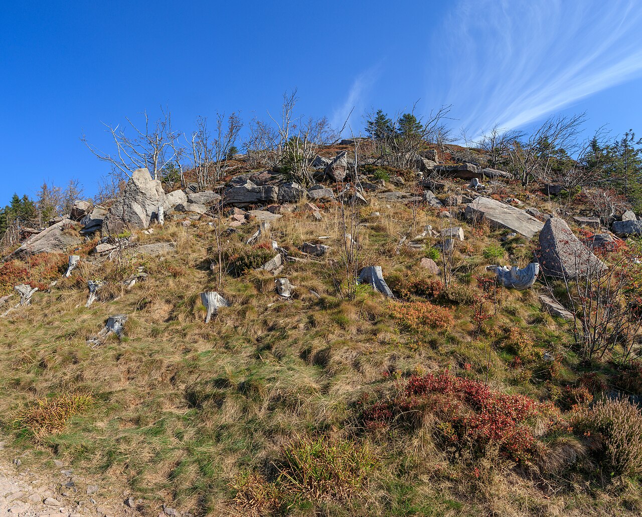 Hornisgrinde