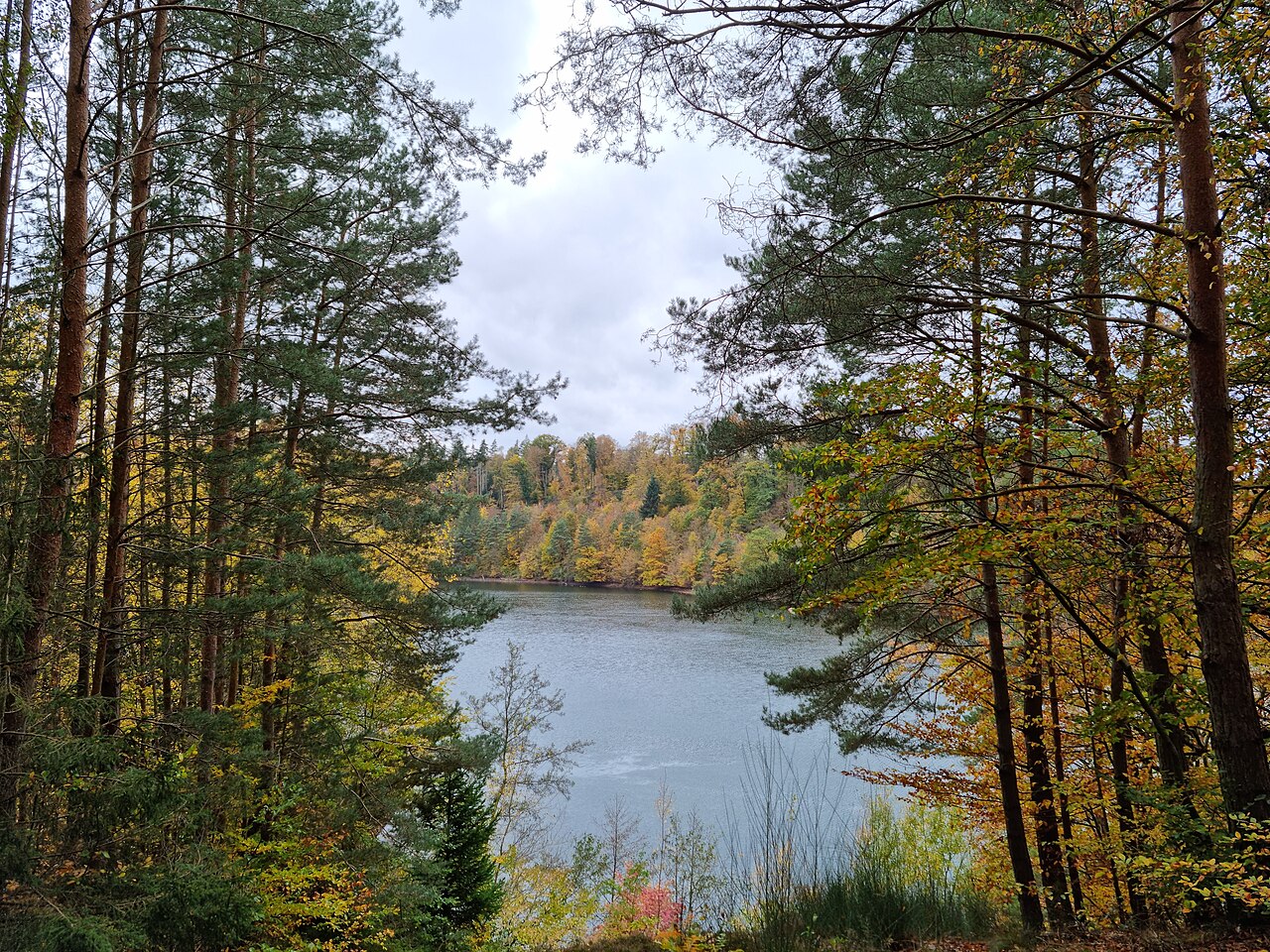 Twistesee