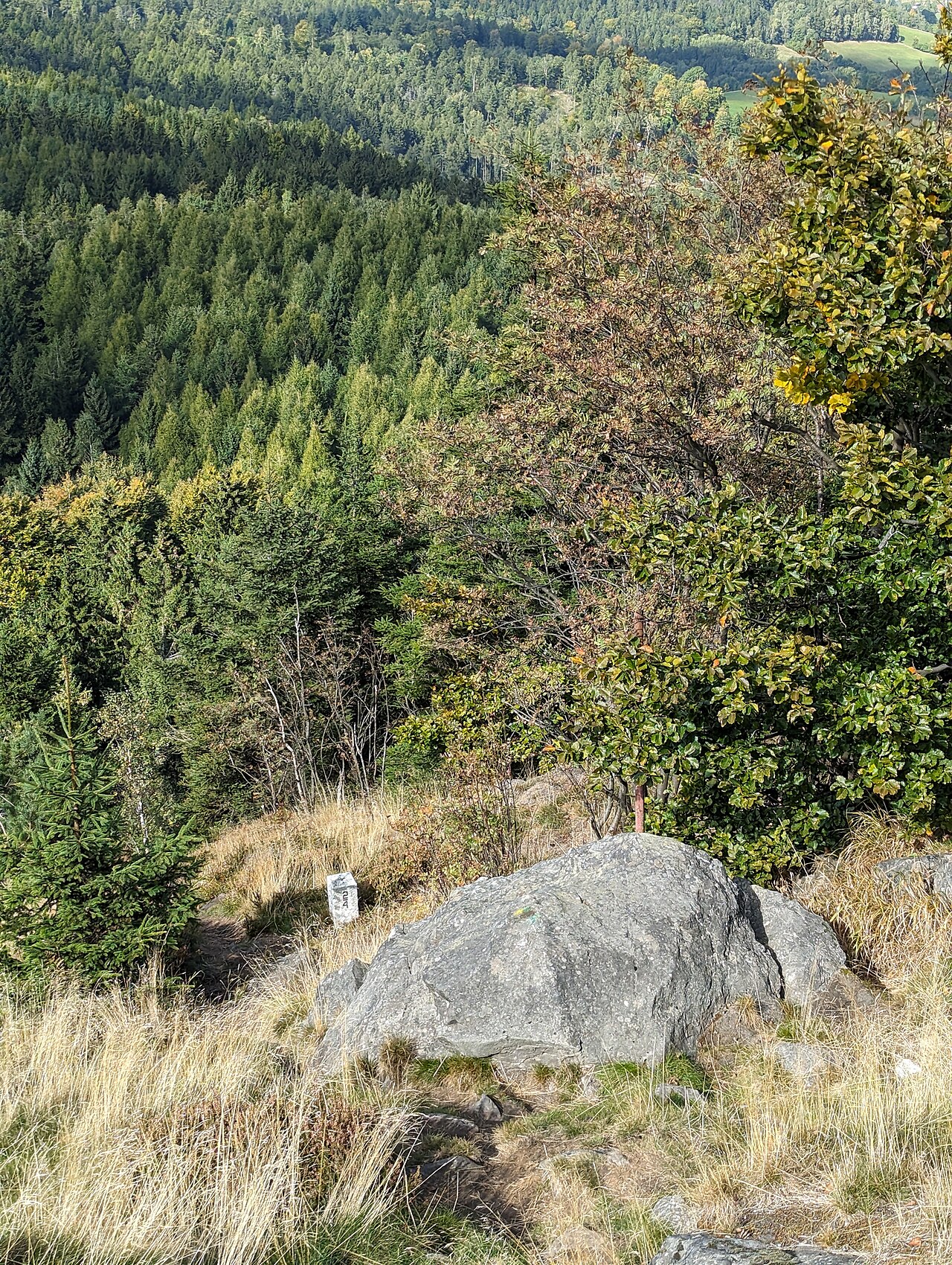 Lausche