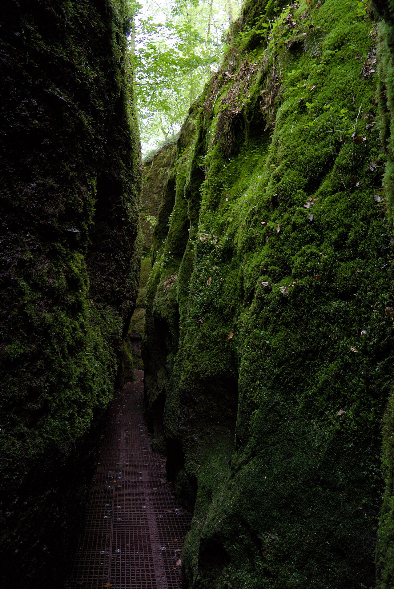 Drachenschlucht