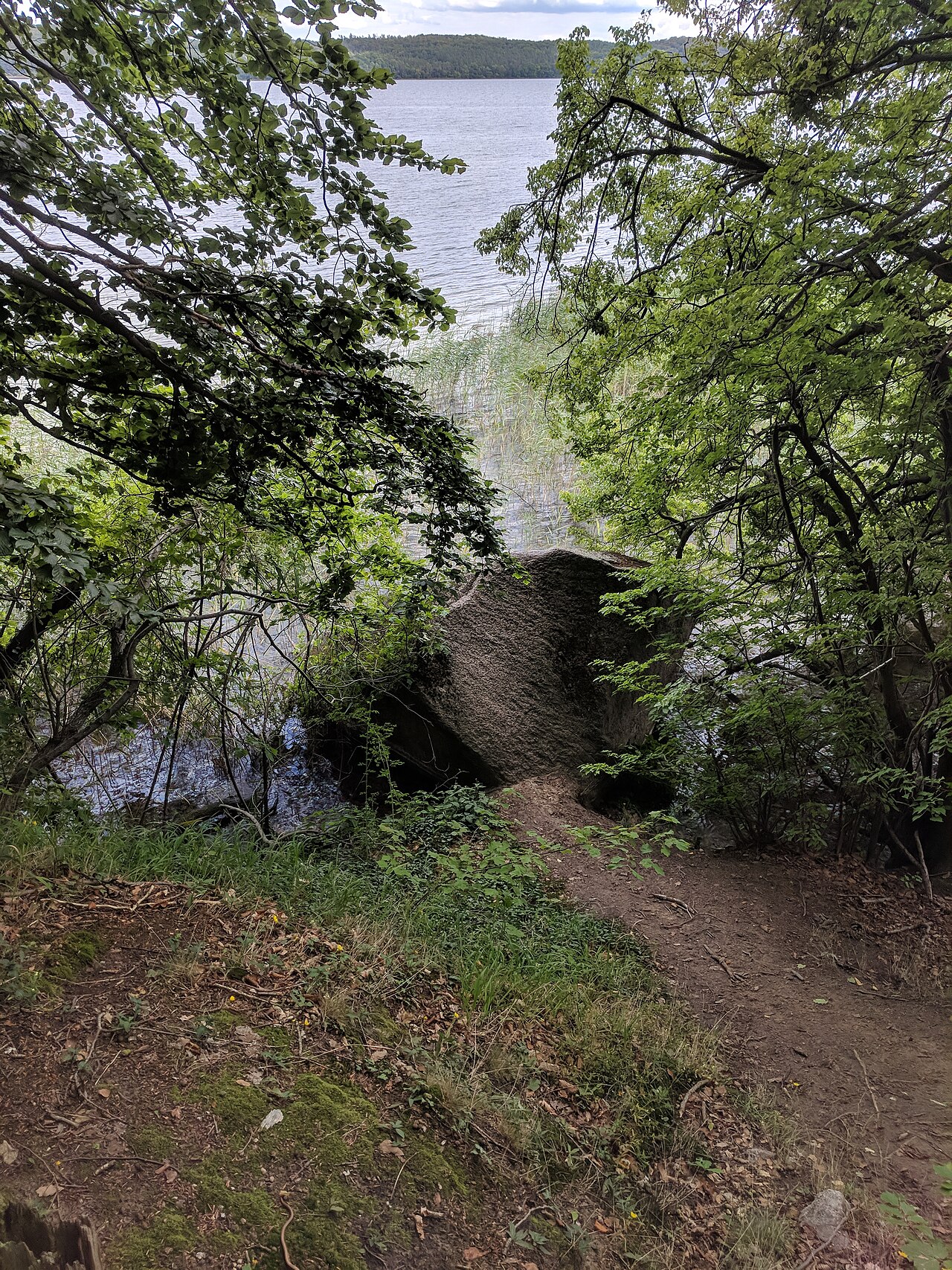 Tollensesee