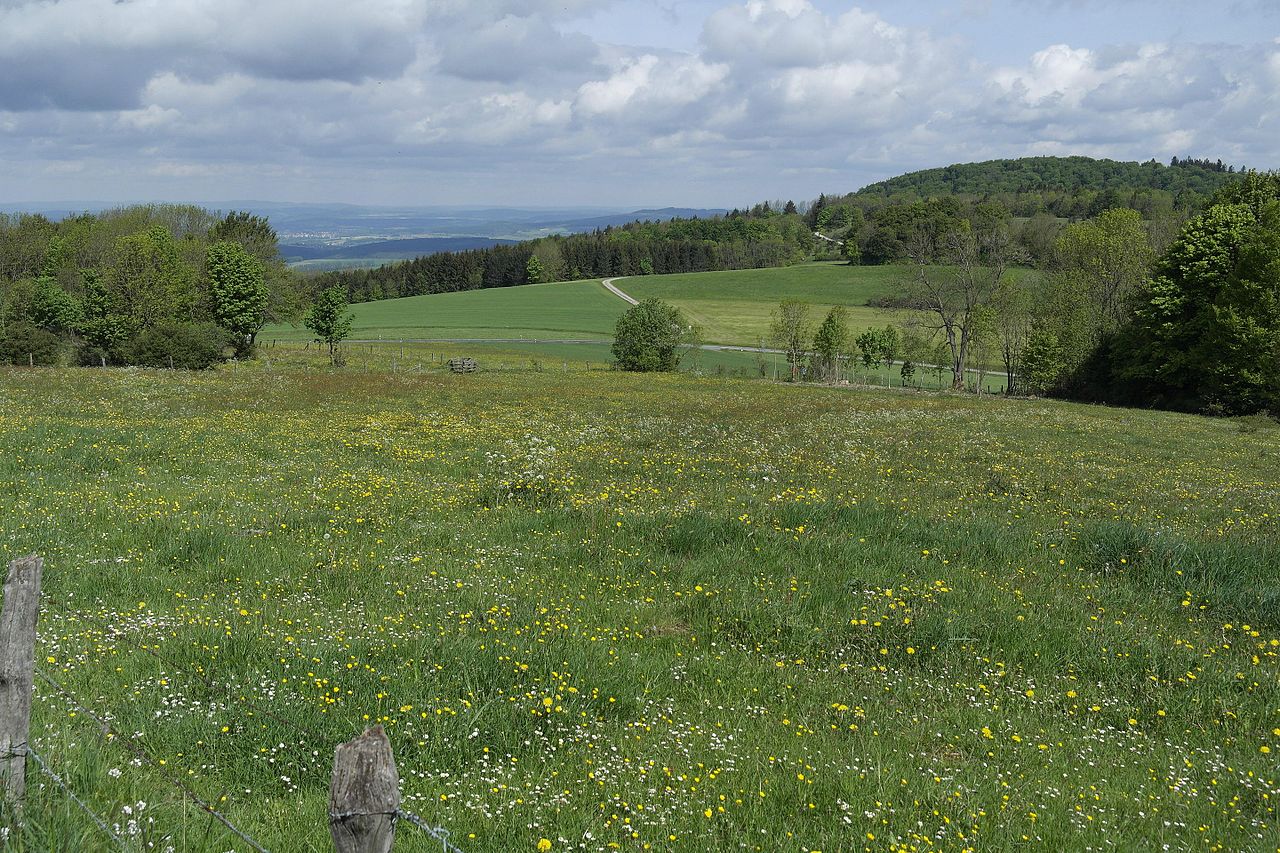 Milseburg
