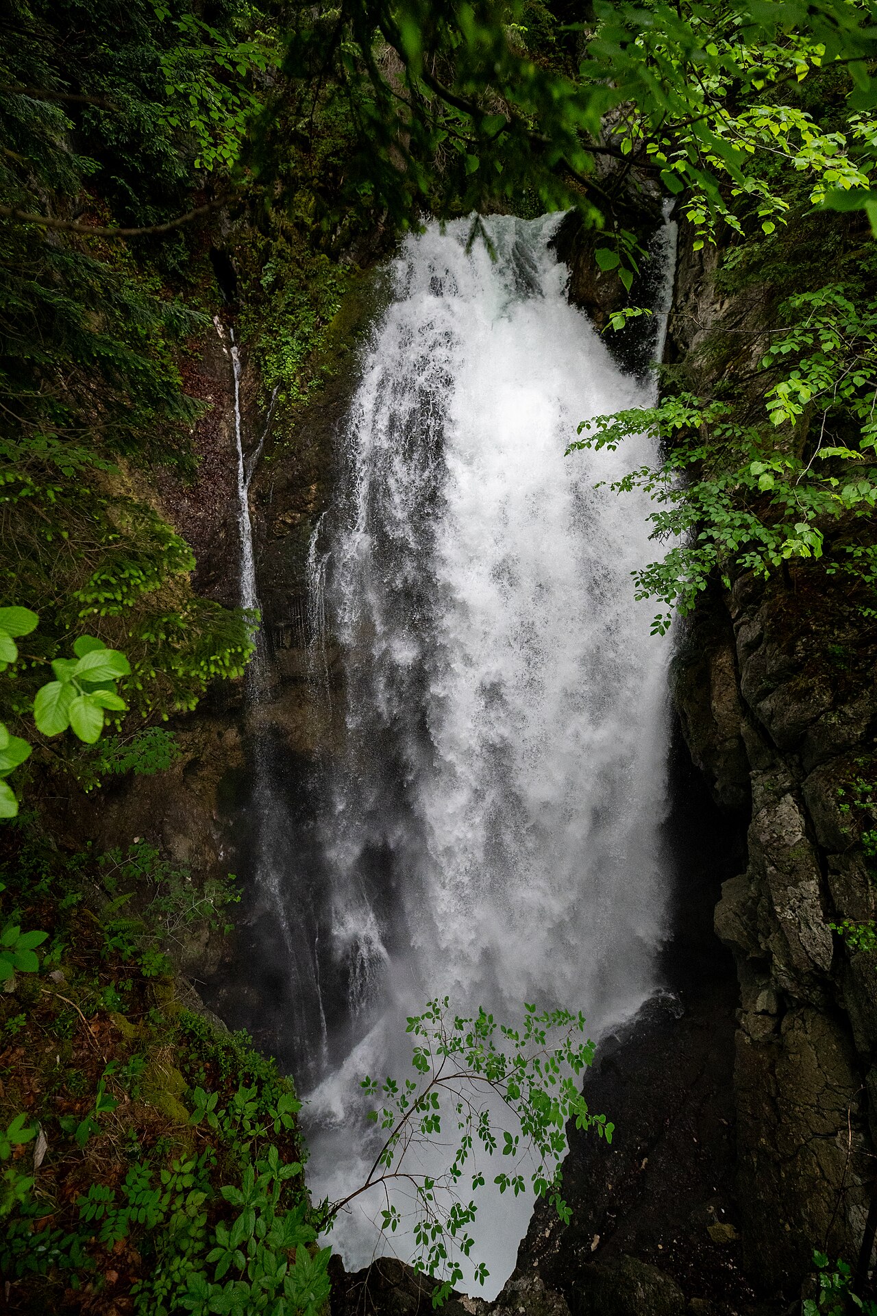 Gollinger Wasserfall