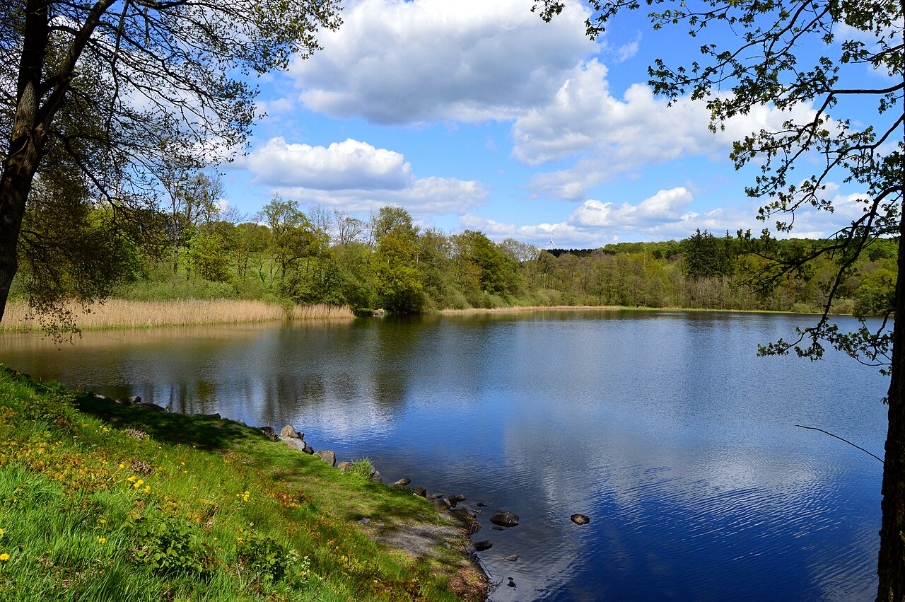 Dreifelder Weiher