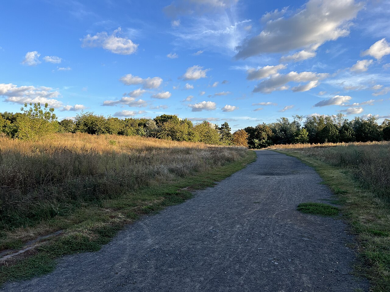 Volkspark Prenzlauer Berg