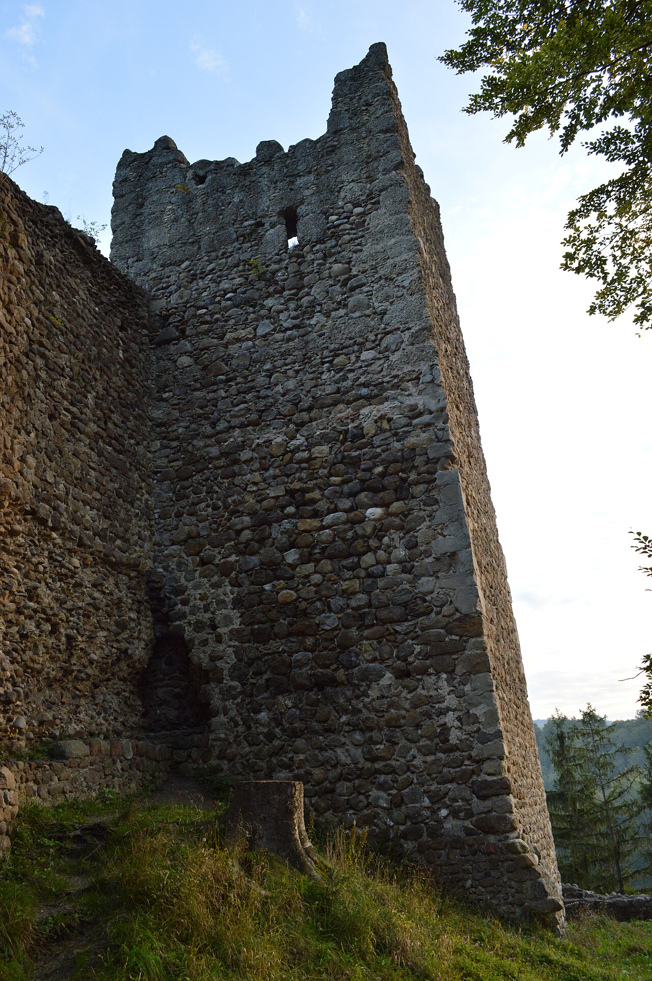 Ruine Alt Ramschwag