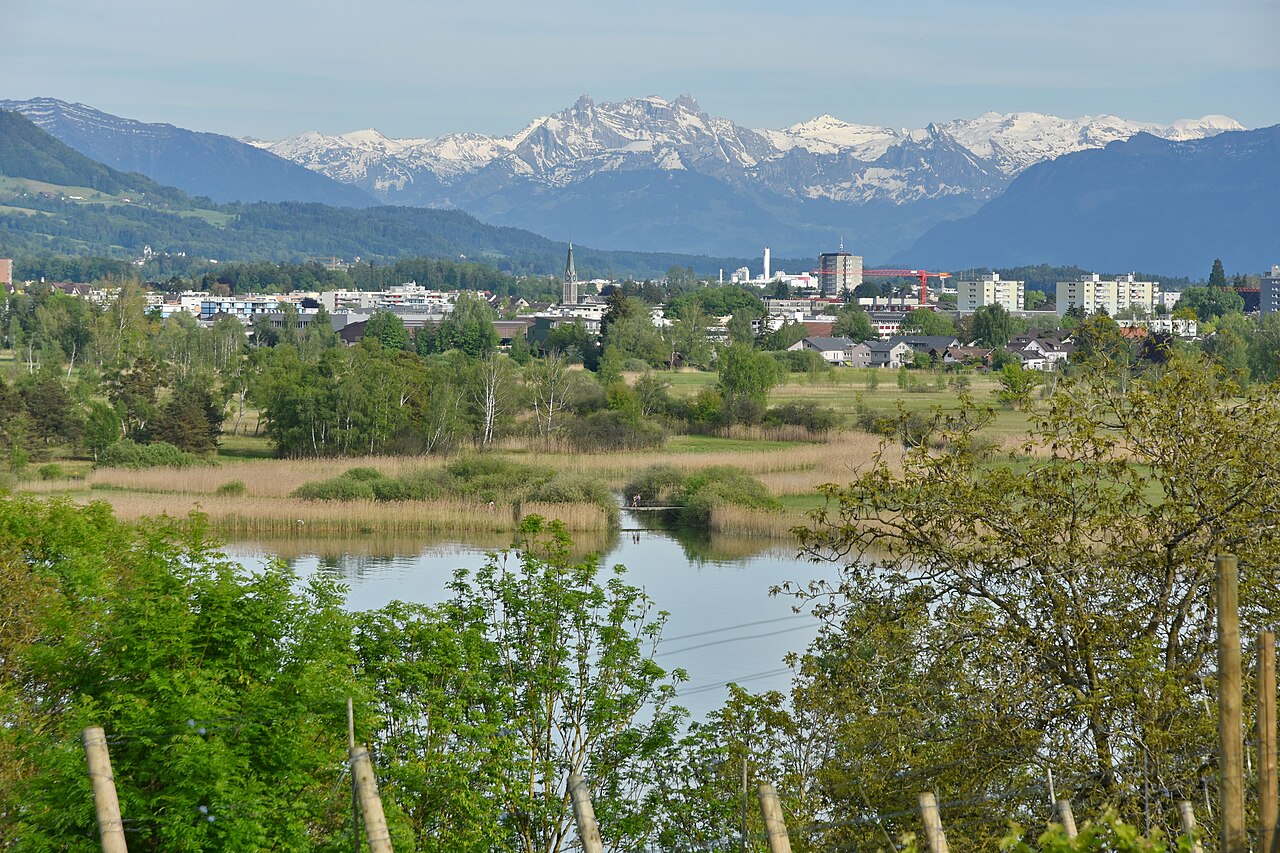 Pfäffikersee