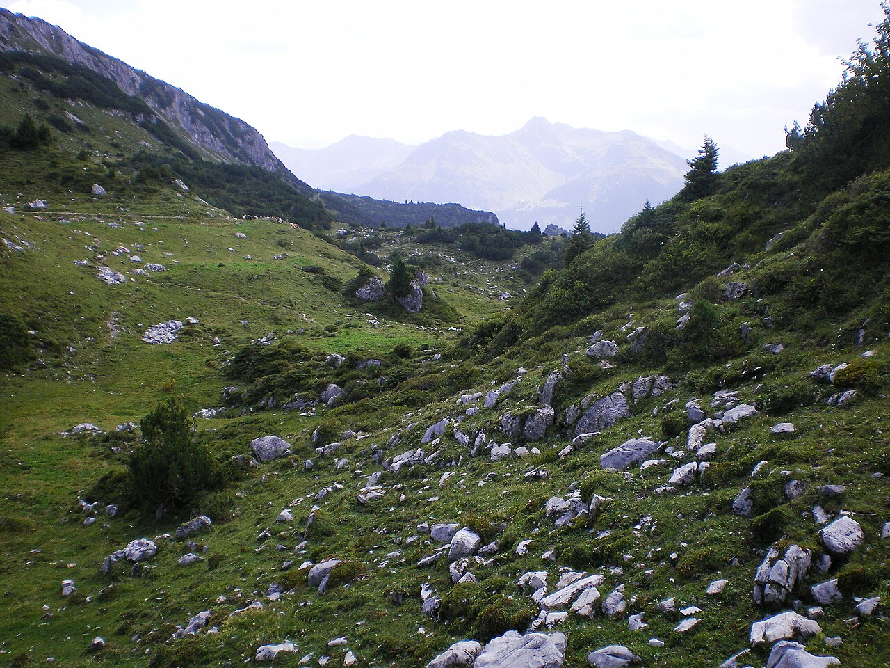 Formarinsee