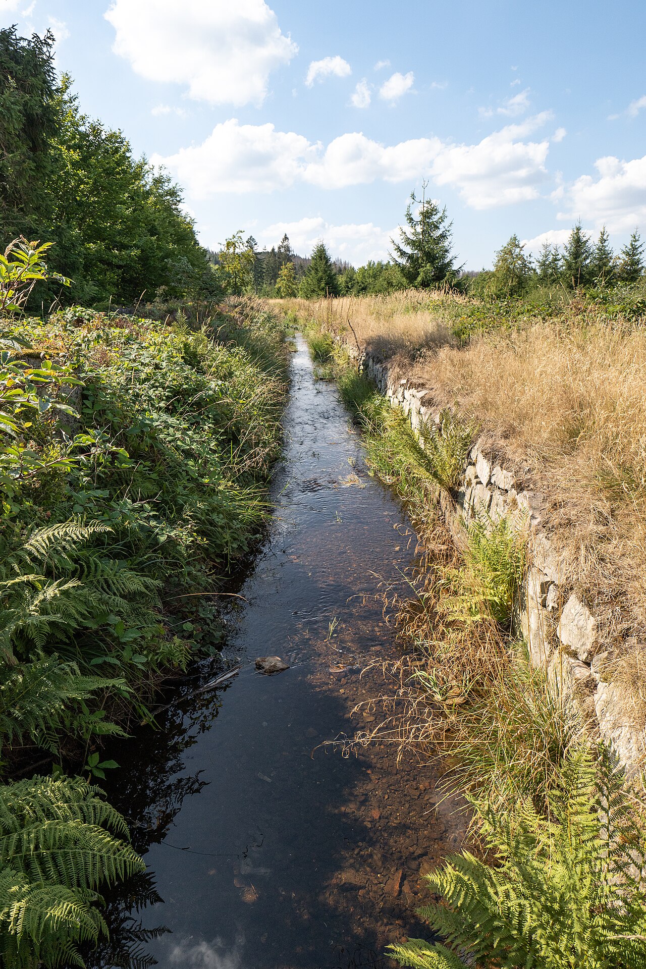 Nationalpark Harz