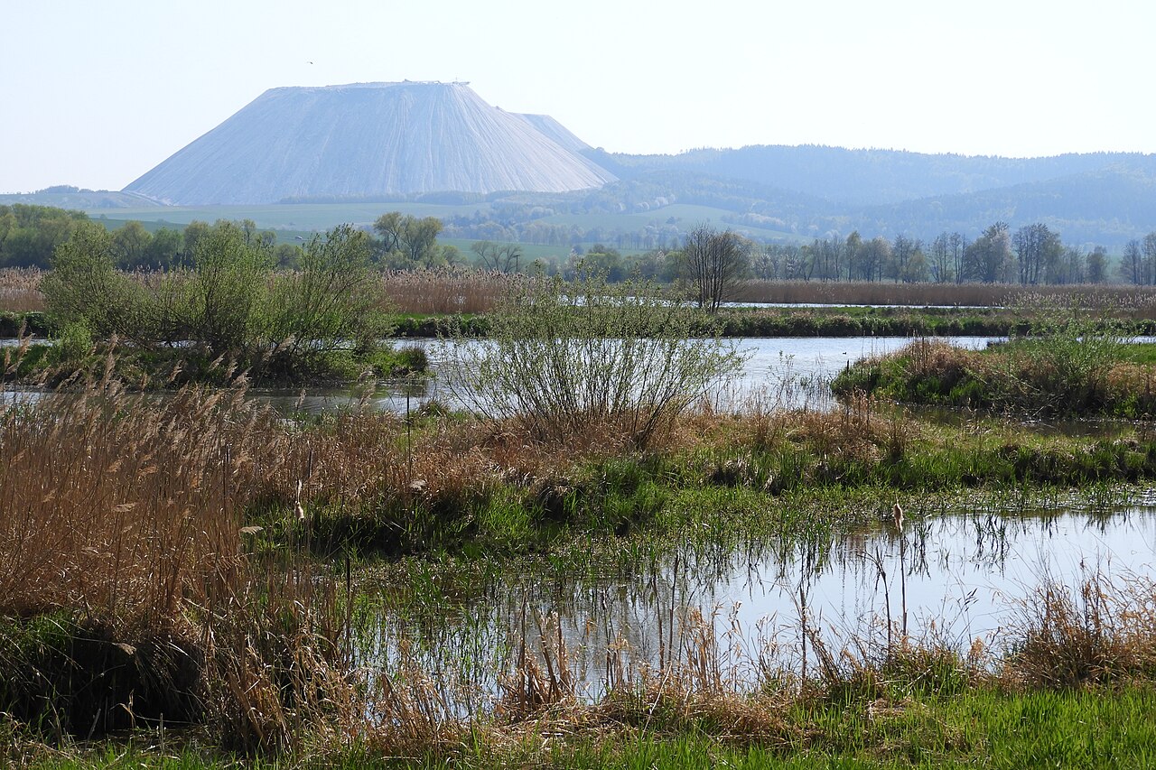 Monte Kali