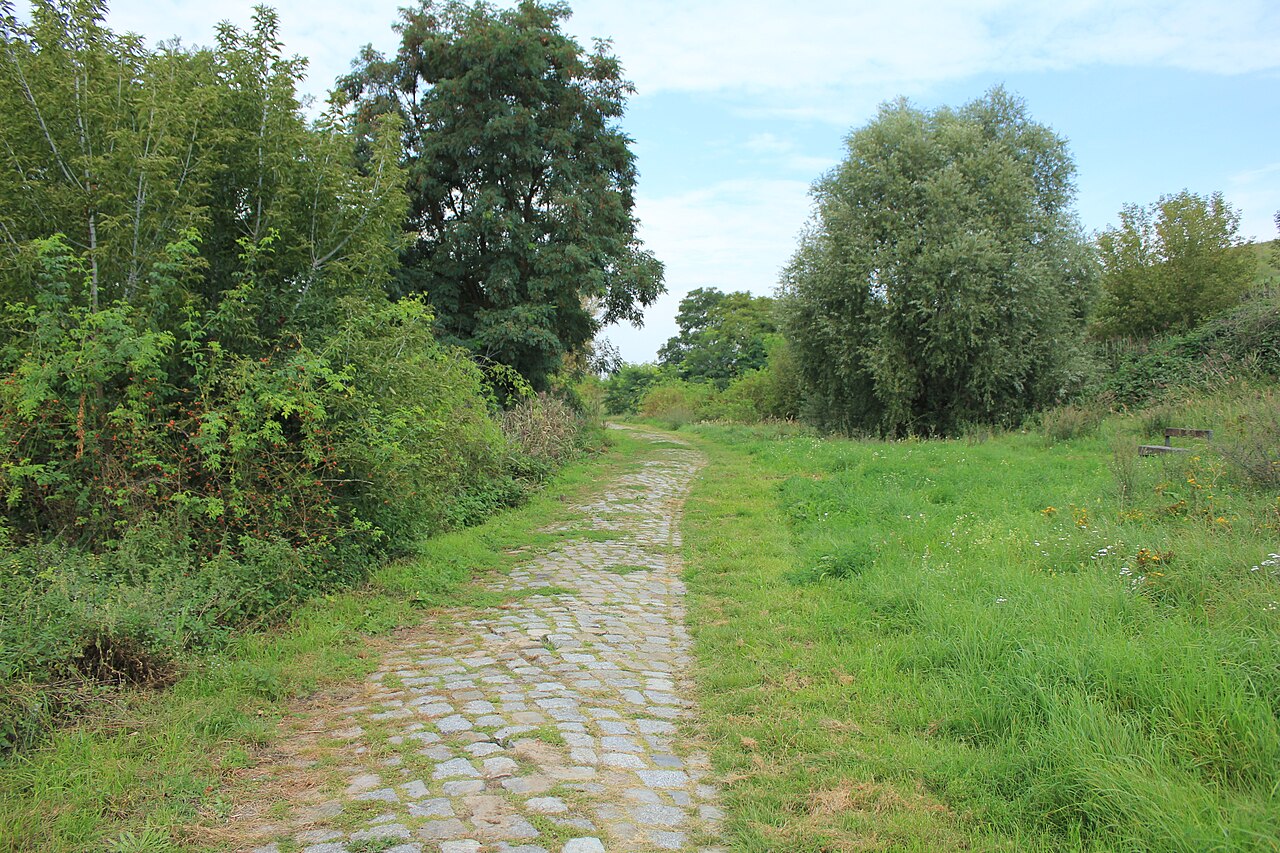 Hahneberg
