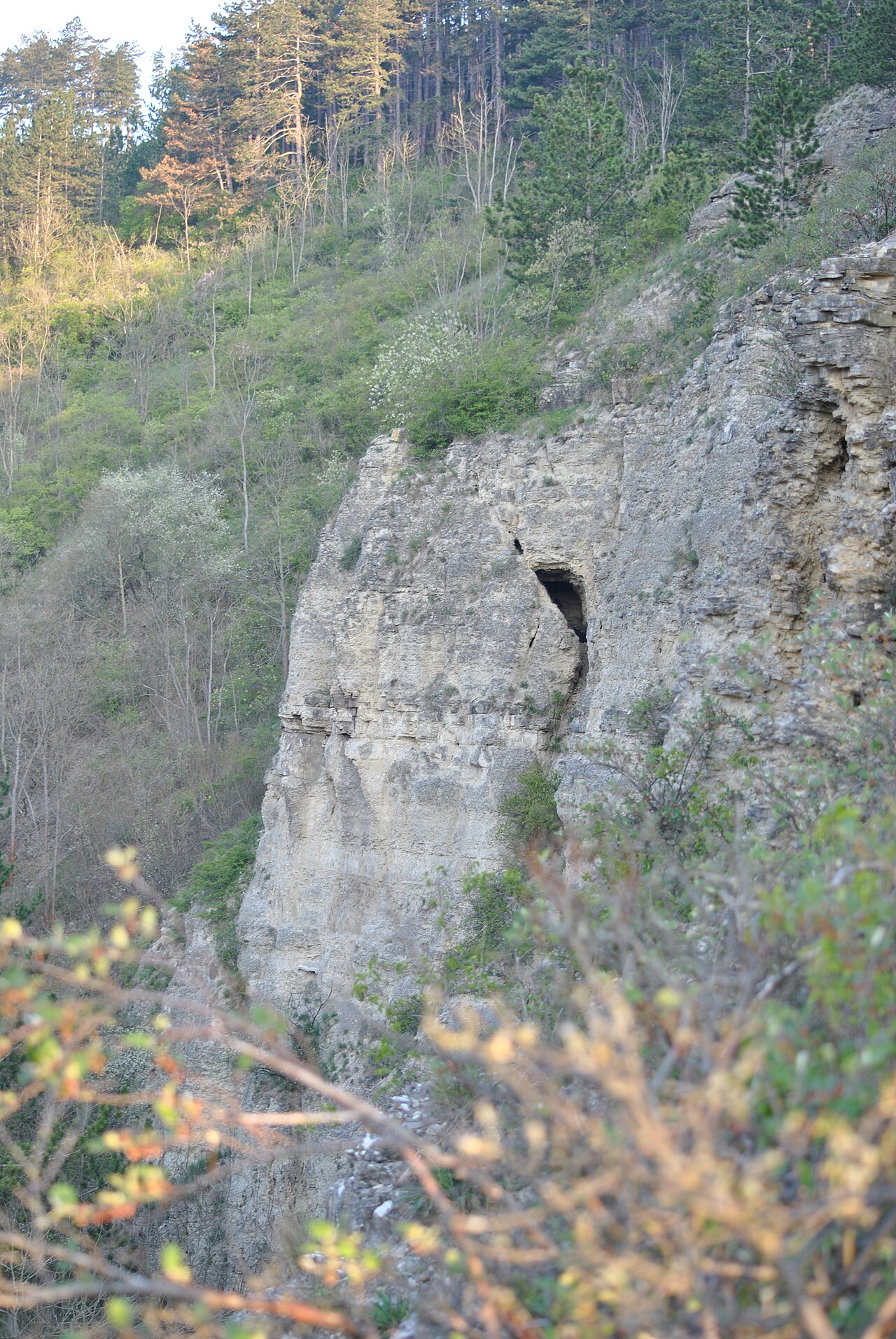 Jungfernsprung